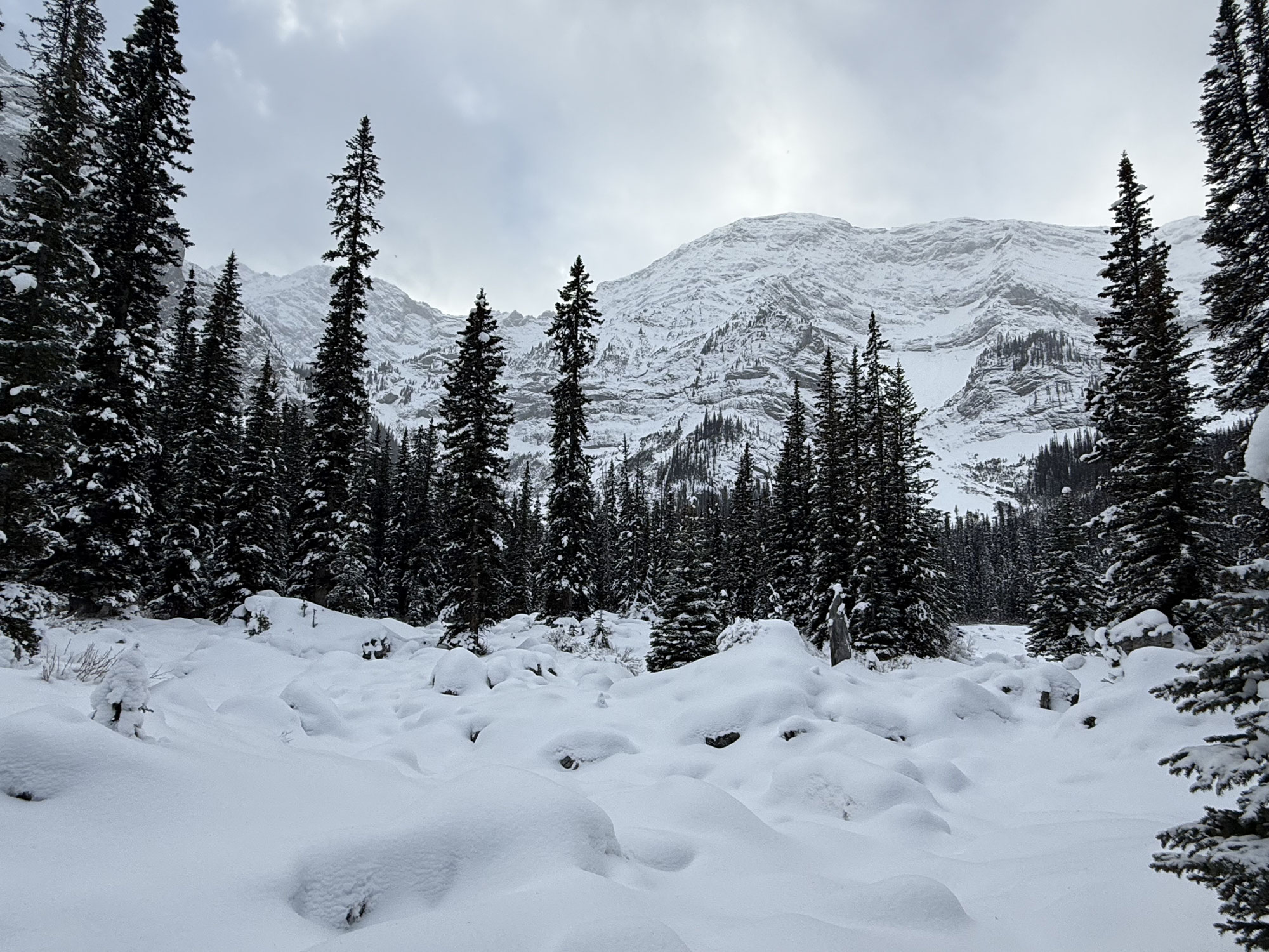 Noch einmal Kananaskis