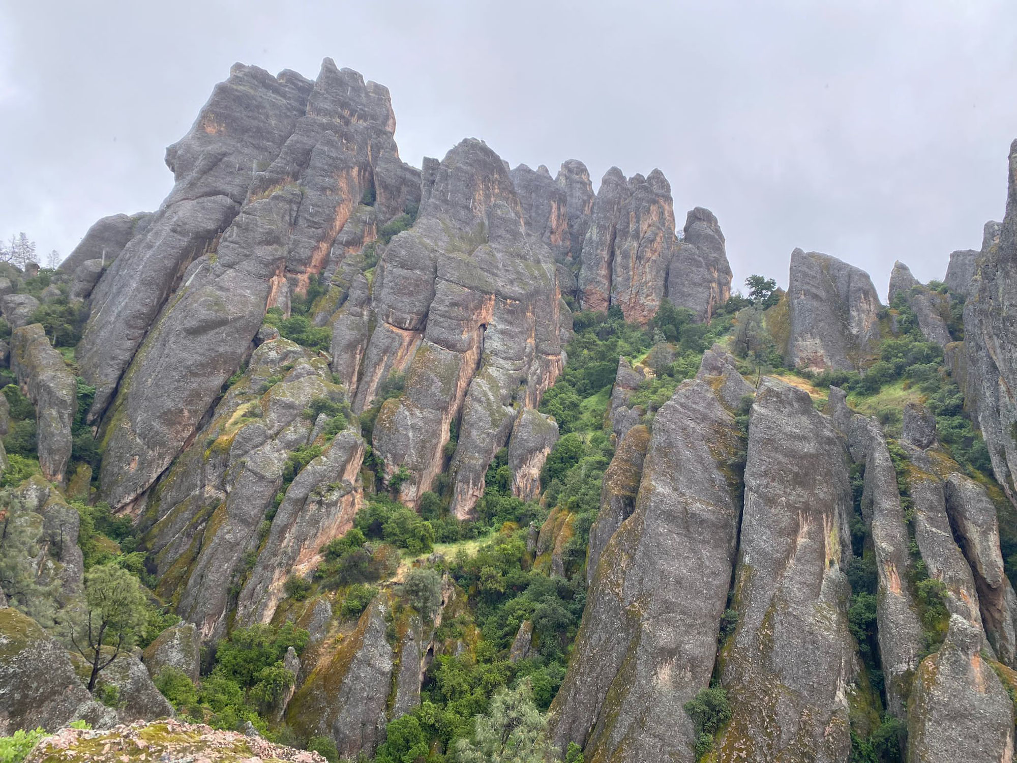 Pinnacles Nationalpark bei 15 % Regenwahrscheinlichkeit