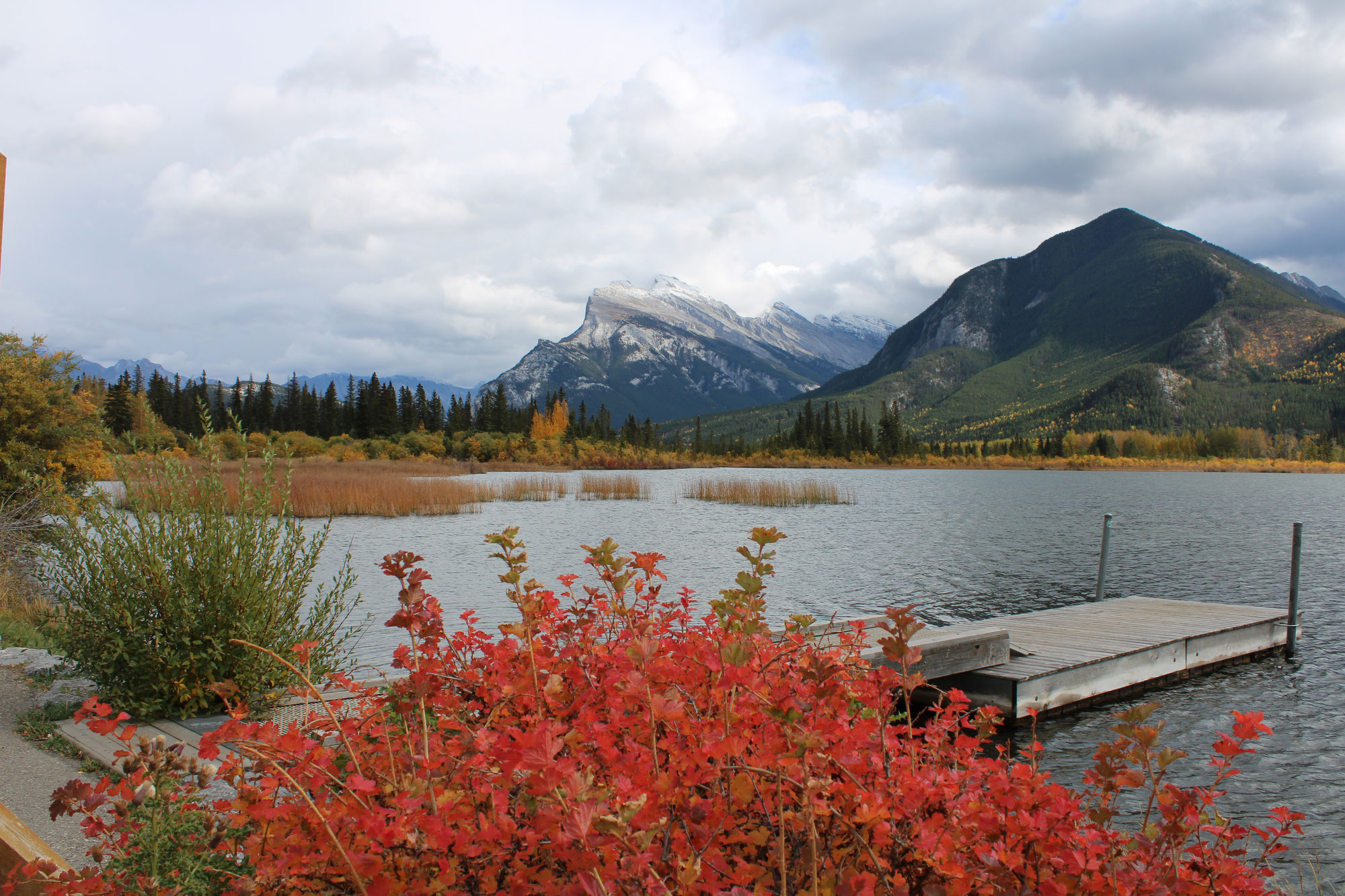 Johnston Canyon & Grizzly-Besuch