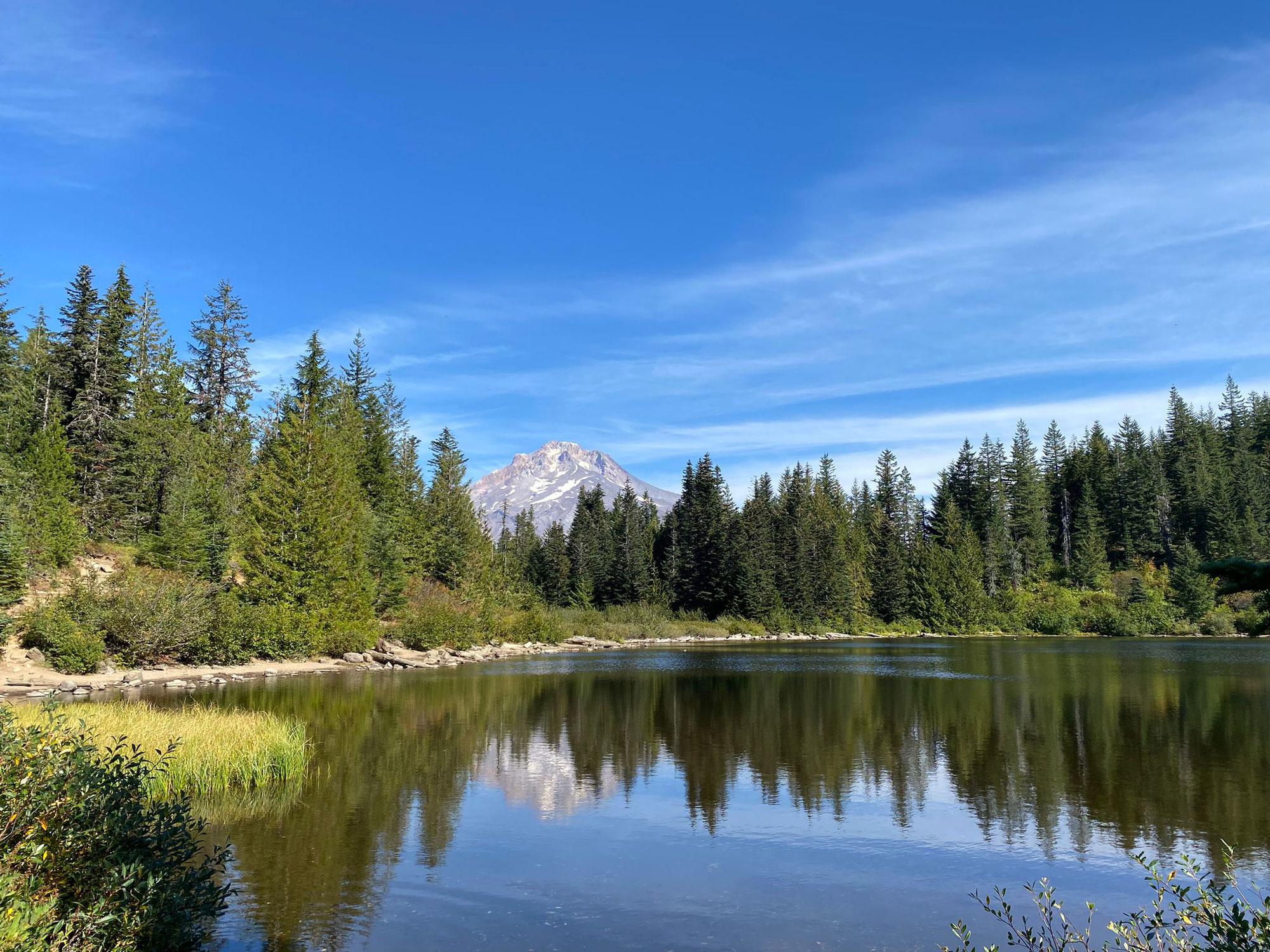 Äpfel vom Mount Hood