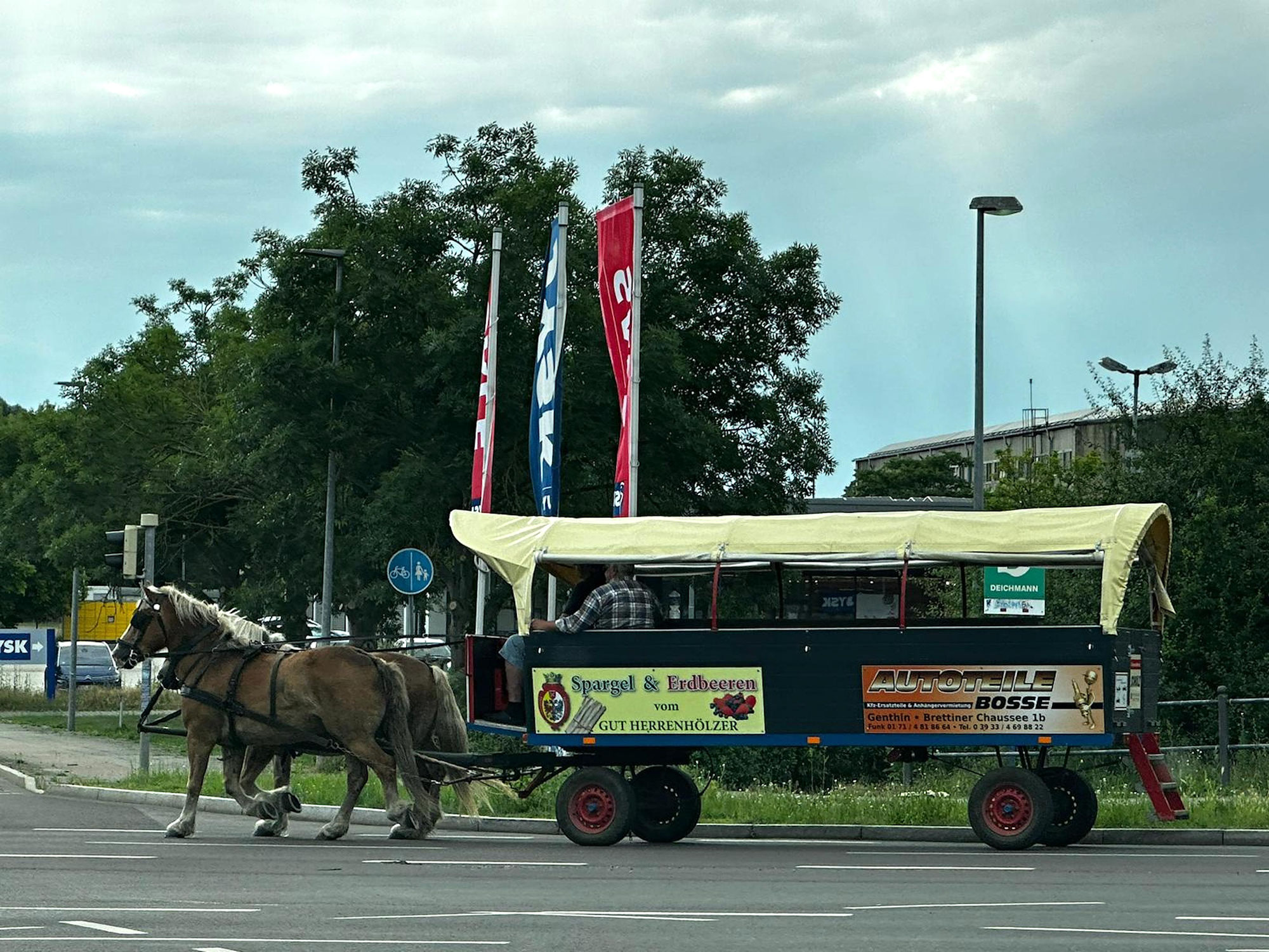 Kutschen im Straßenverkehr - oft wird es gefährlich