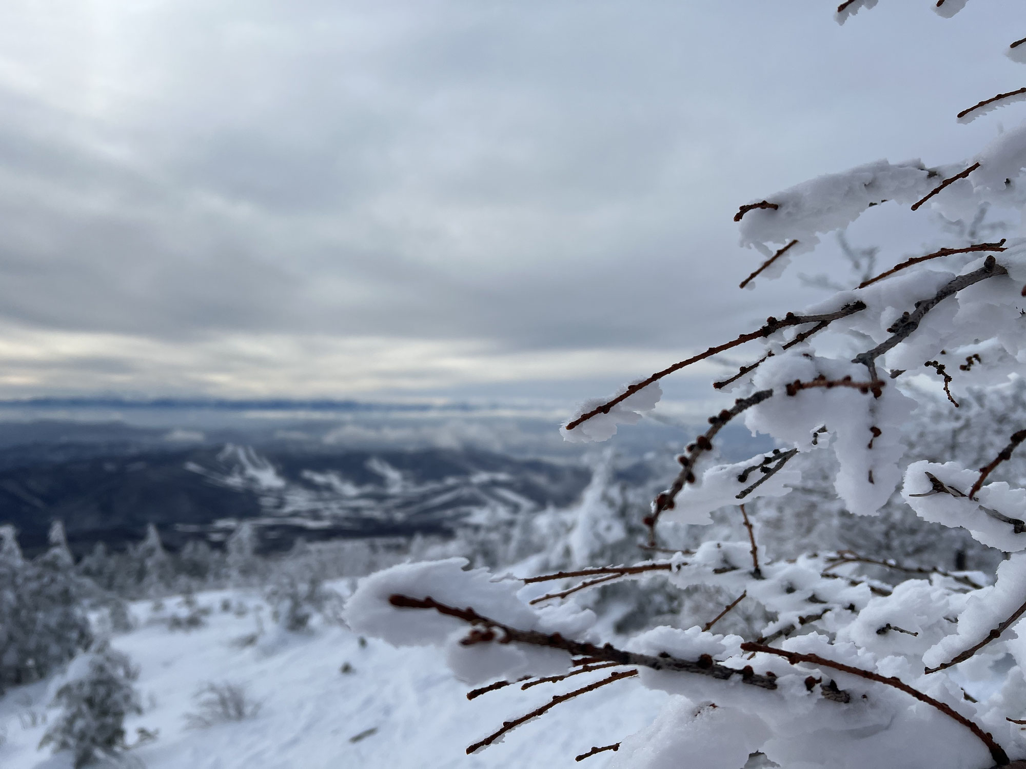 四阿山　積雪期