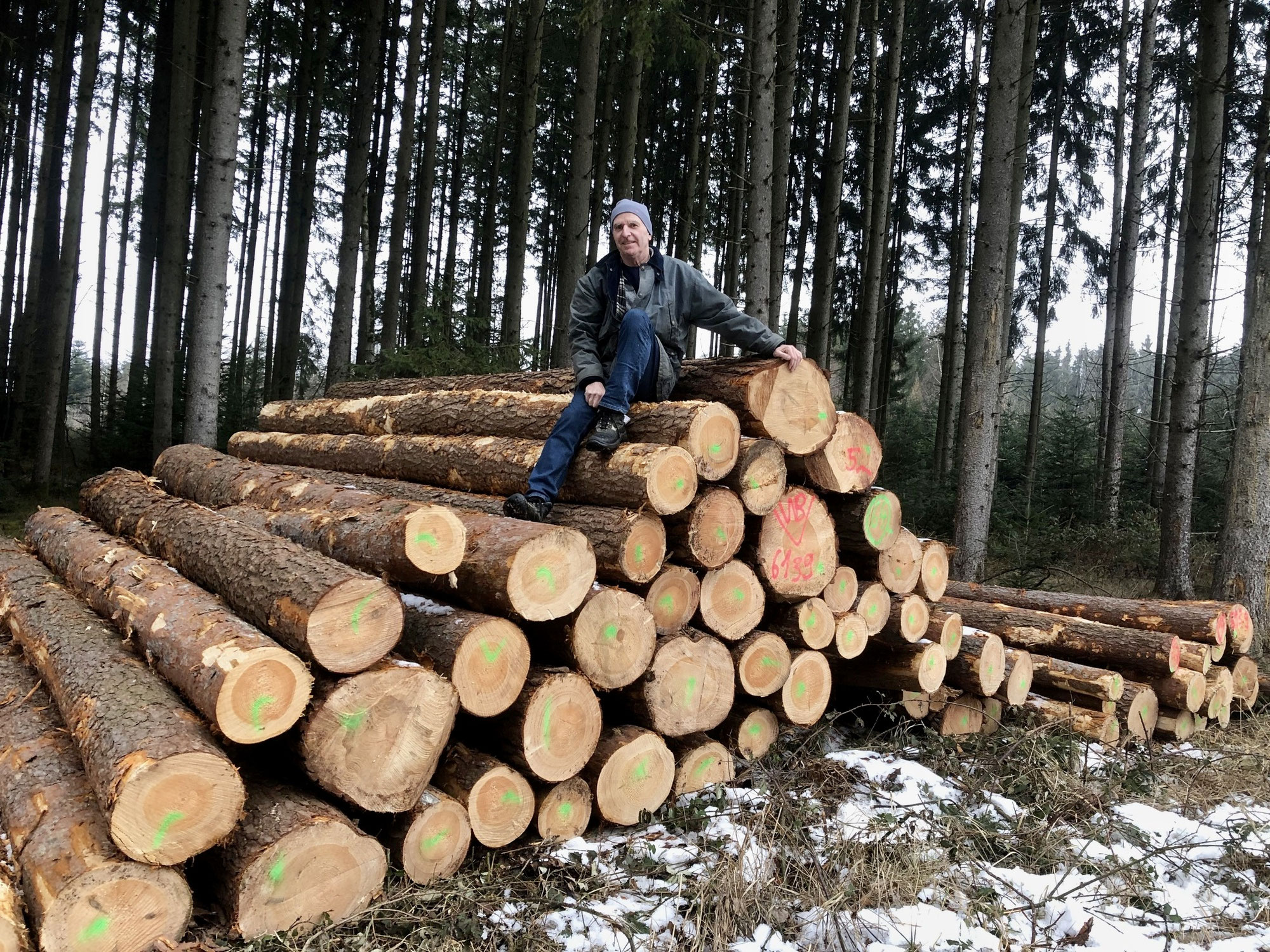 Top-Wetter für die Waldarbeit