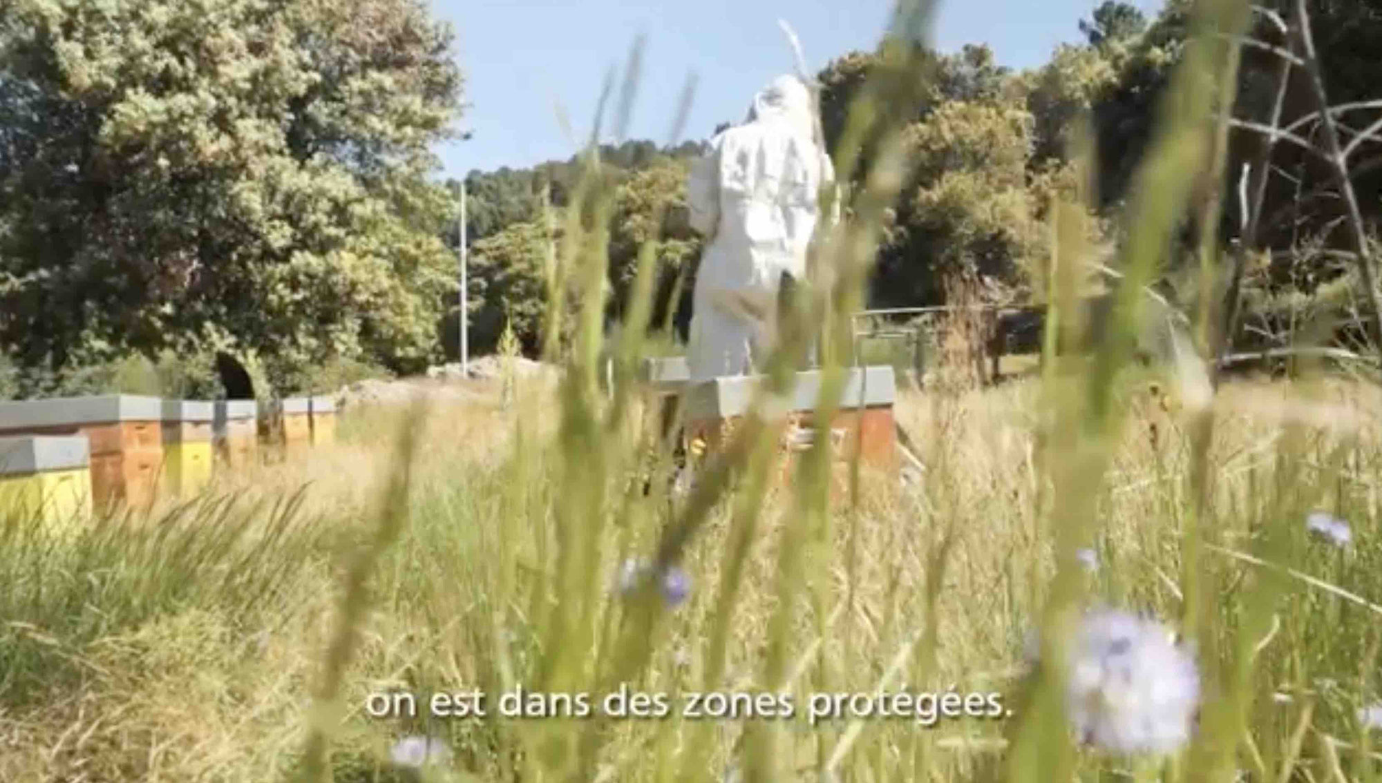 Sur ce lien, un extrait de la vidéo "Parole d'acteurs"produite à l'initiative du Parc national des Cévennes en 2022 : https://fb.watch/iOZPiD005O/