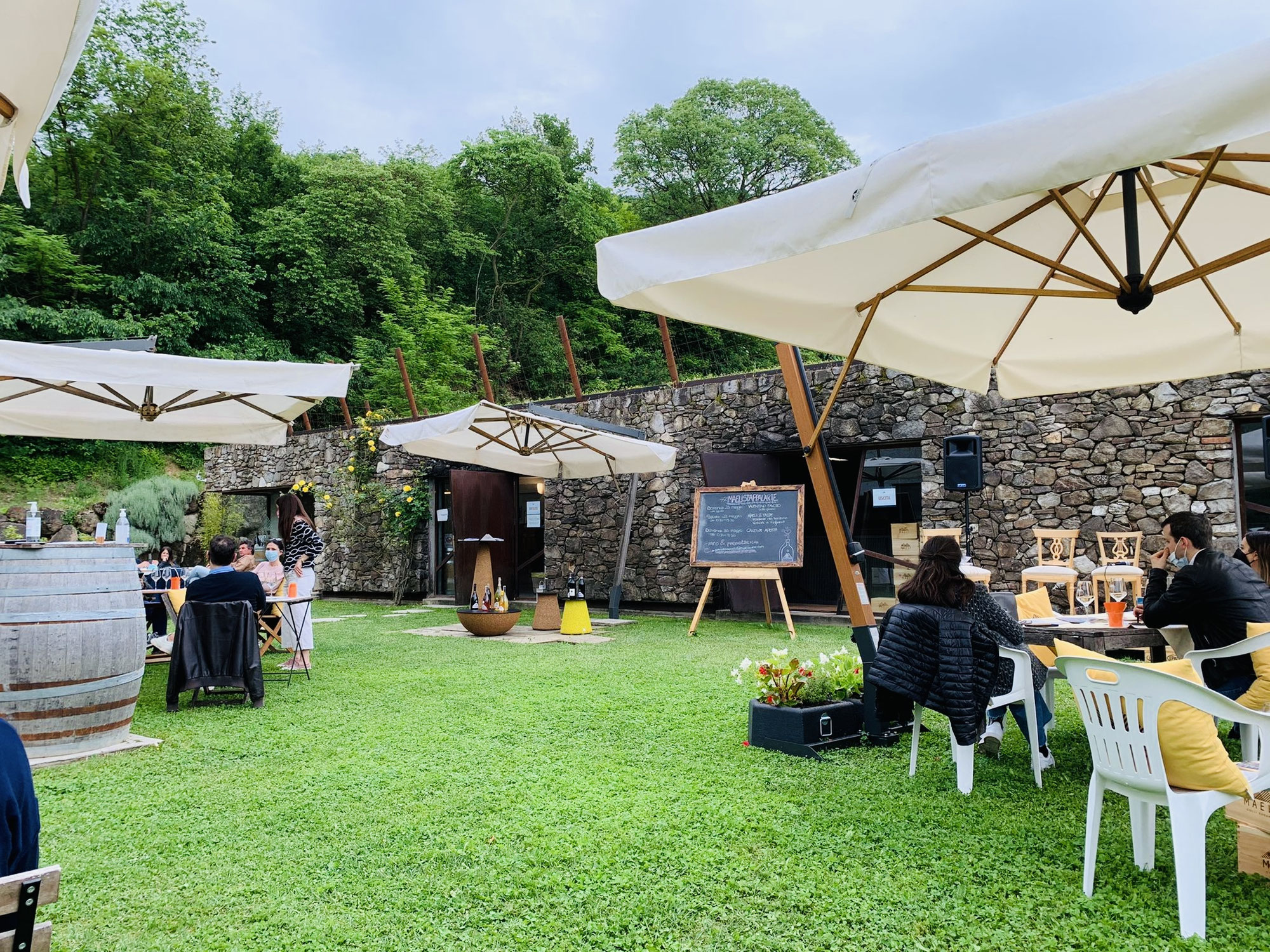 Maeli Stappa l'arte. Libri in Cantina per un Progetto divino