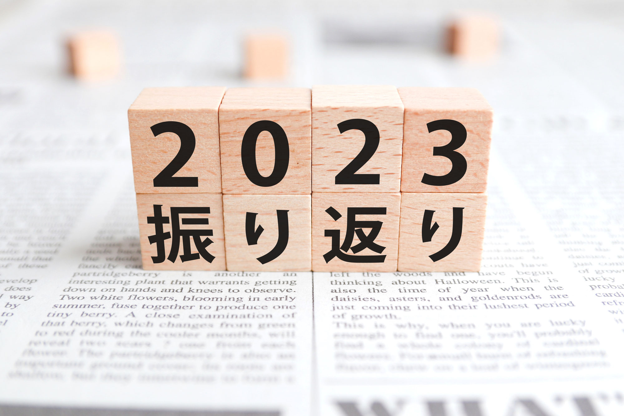 2023年を振り返ります！