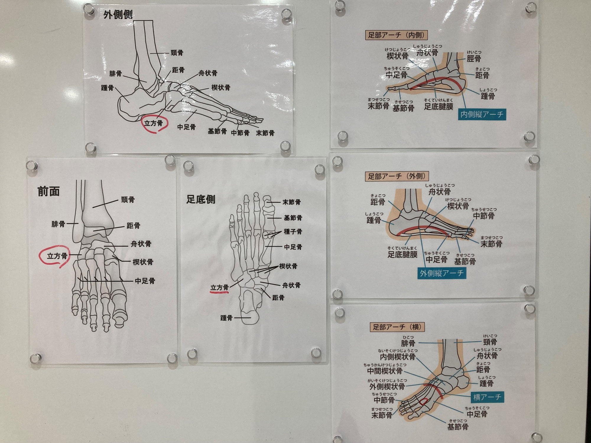 足アーチはとっても重要！