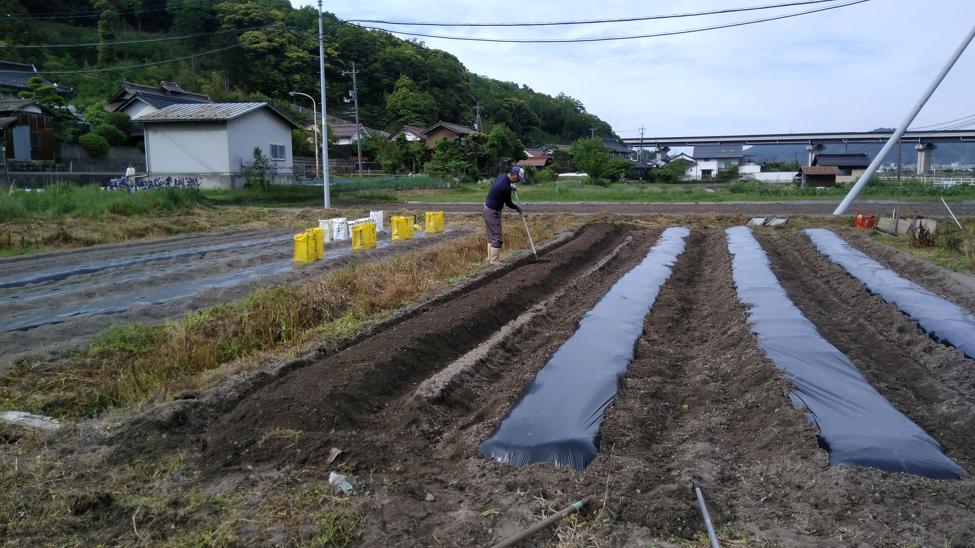 夏野菜の植え付けの準備です