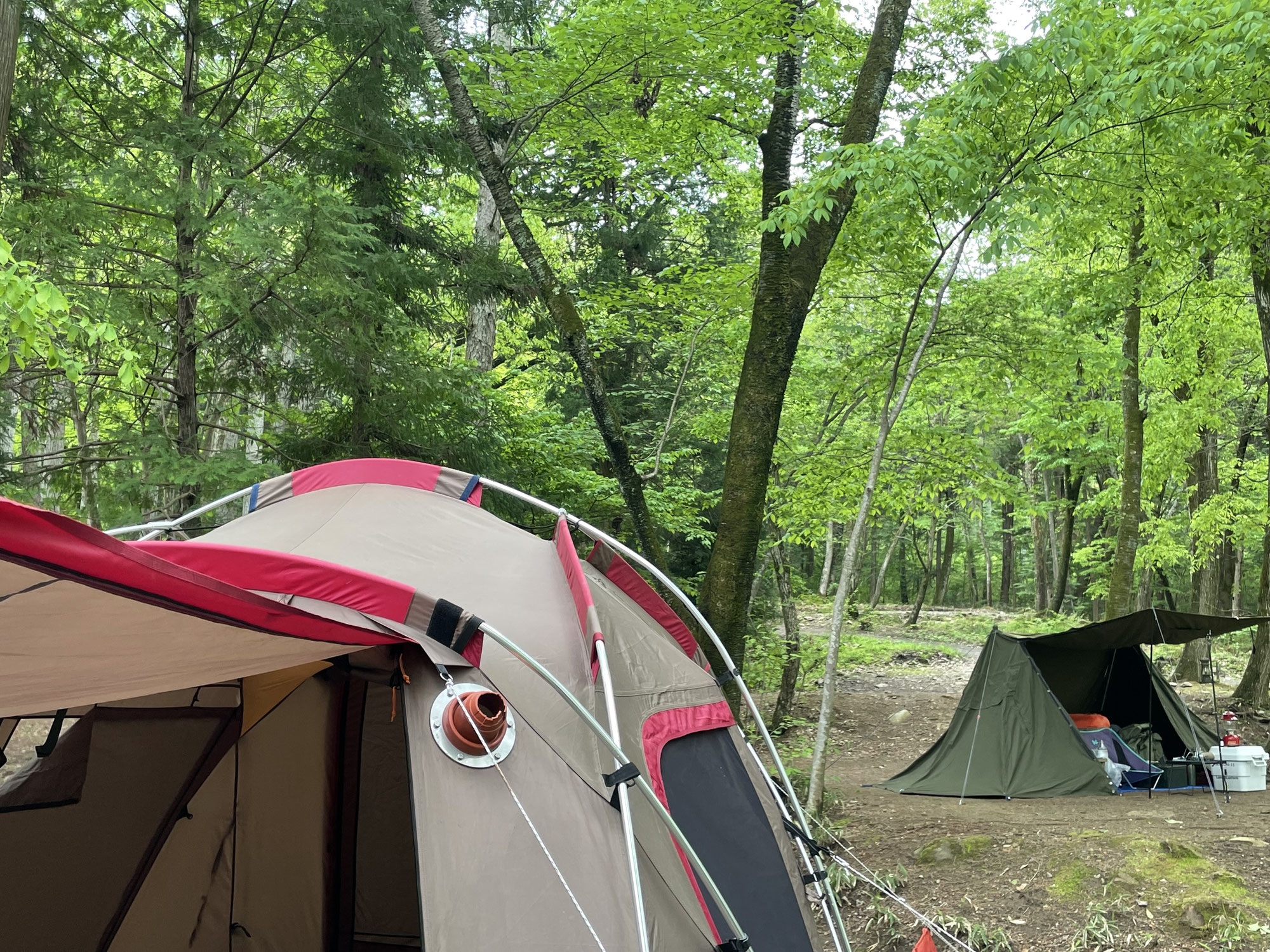 お客様と新緑に誘われて-山梨のアウトドアショップCARNOSA CAMP-