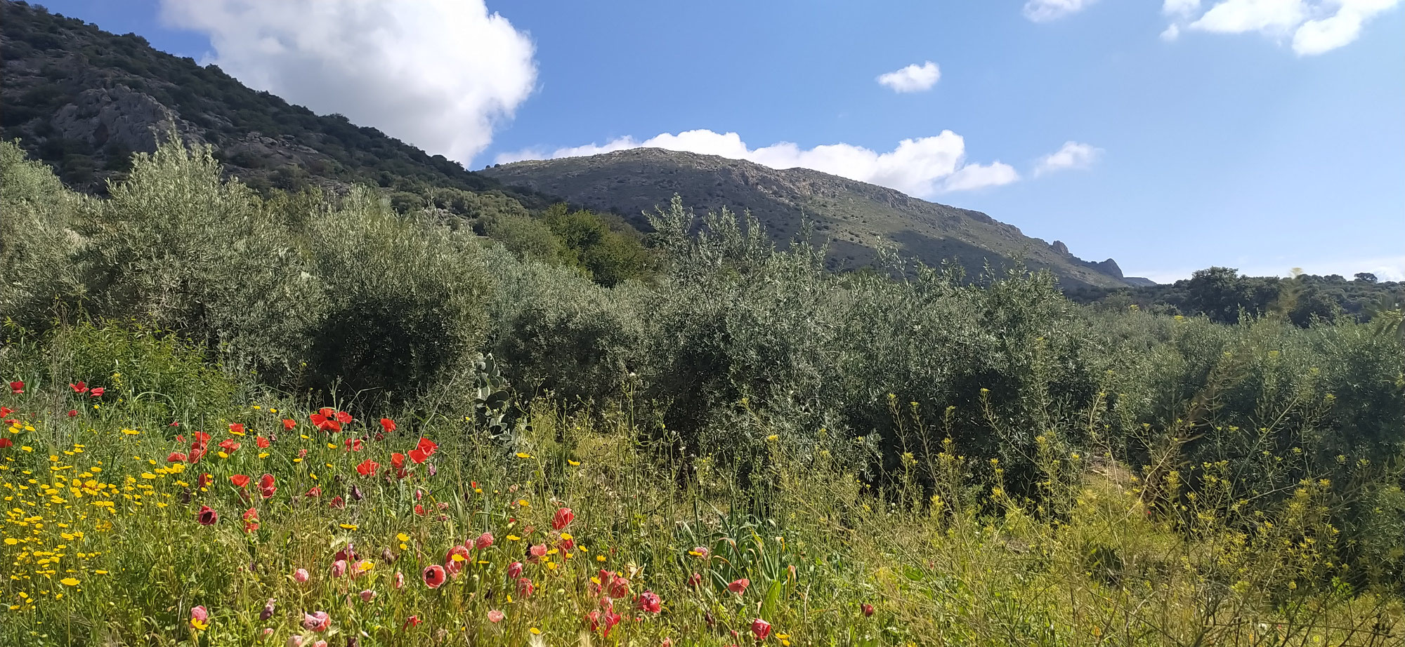 Traumhafte Wanderwoche im andalusischen Frühling 1