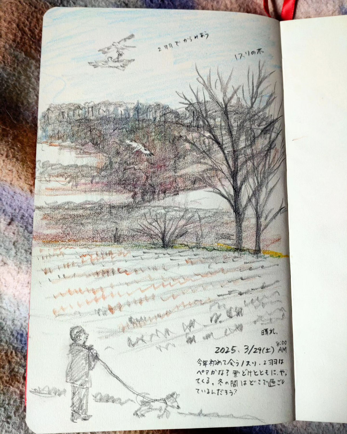 Sketchbook