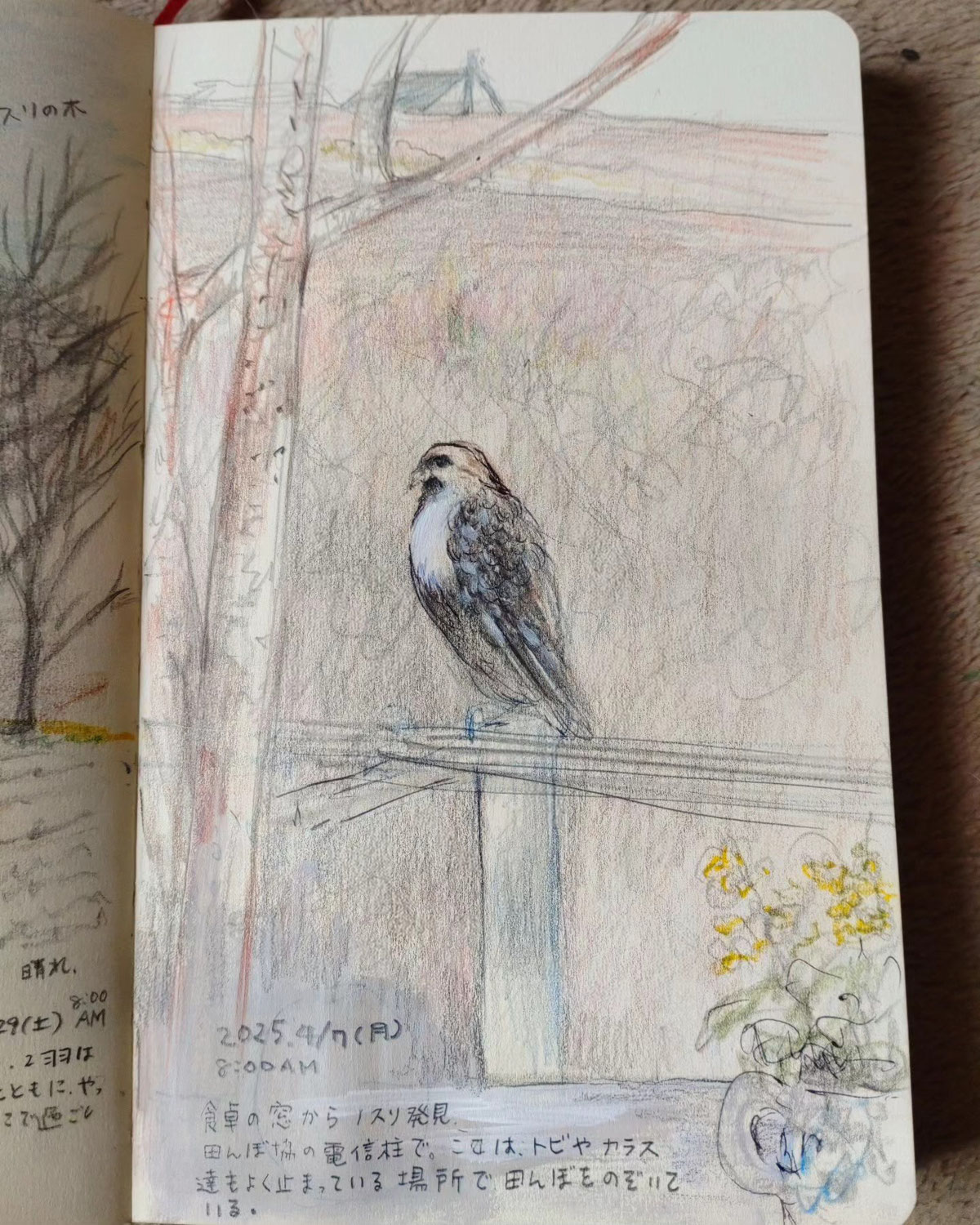 sketchbook2