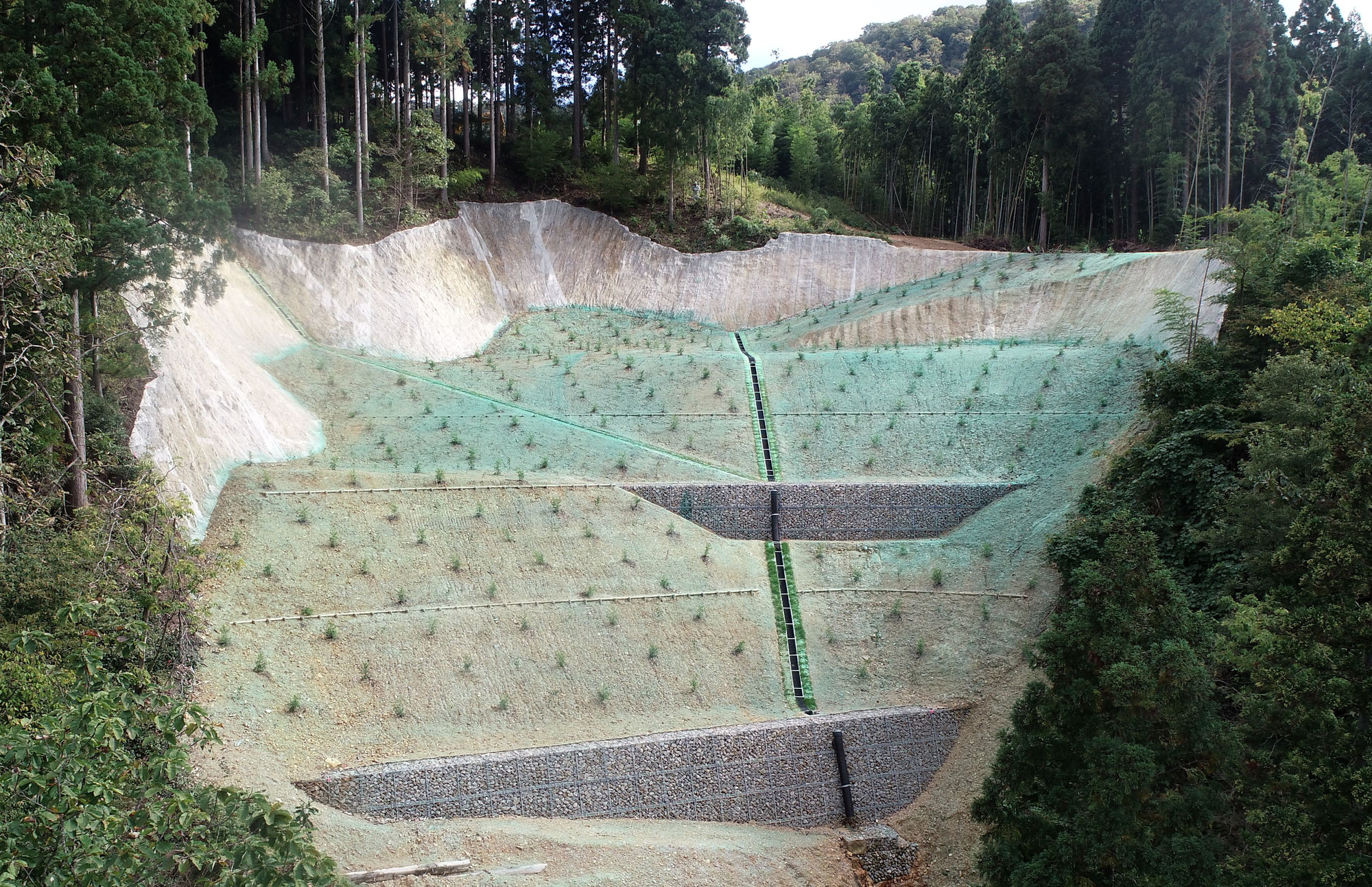 令和2年度　復旧治山事業　波佐羅地区　山腹工事