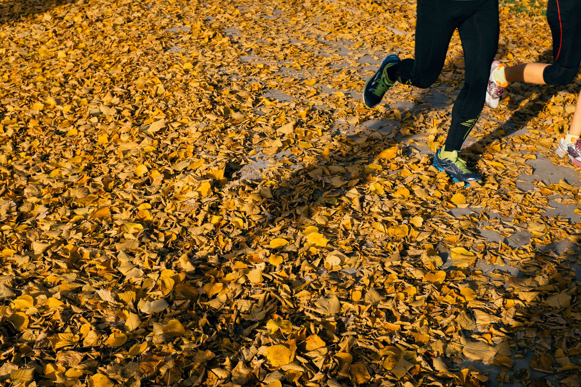 Mindful Fitness – Dein Körper. Dein Takt. Dein Dialog.
