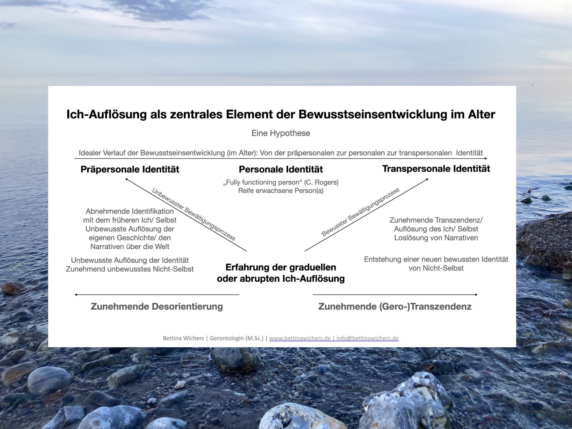 Infoveranstaltung zu meiner Forschung: 23. Juni und 18. Juli