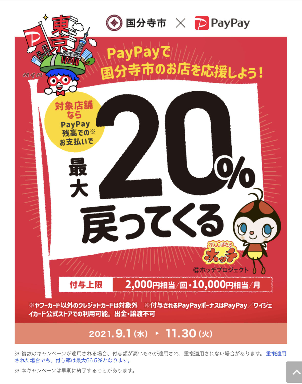 pay payのご登録を☆