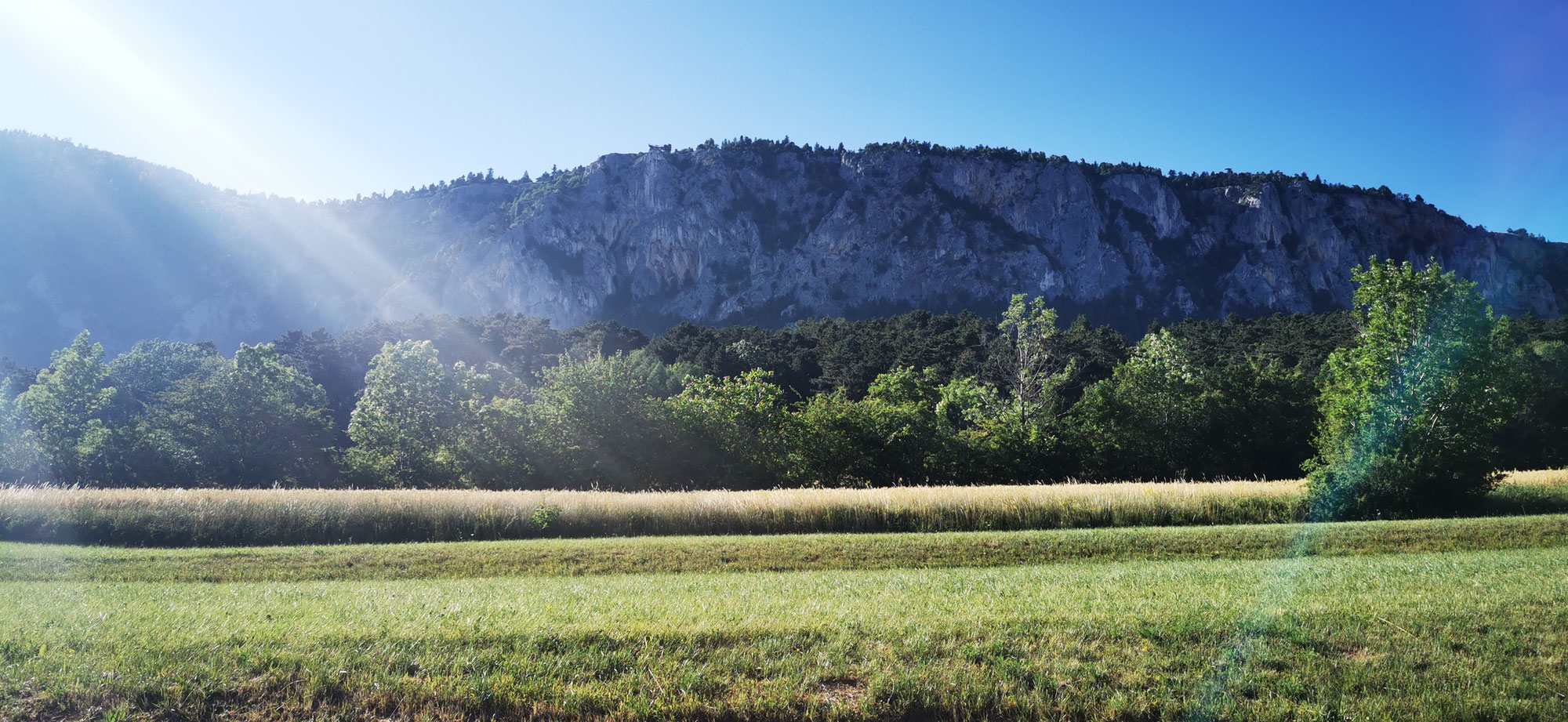 Hohe Wand