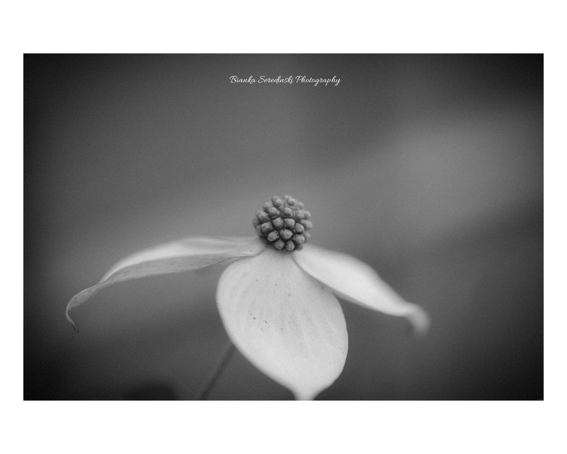 Underachievment, wie Begabung im Verborgenen bleibt