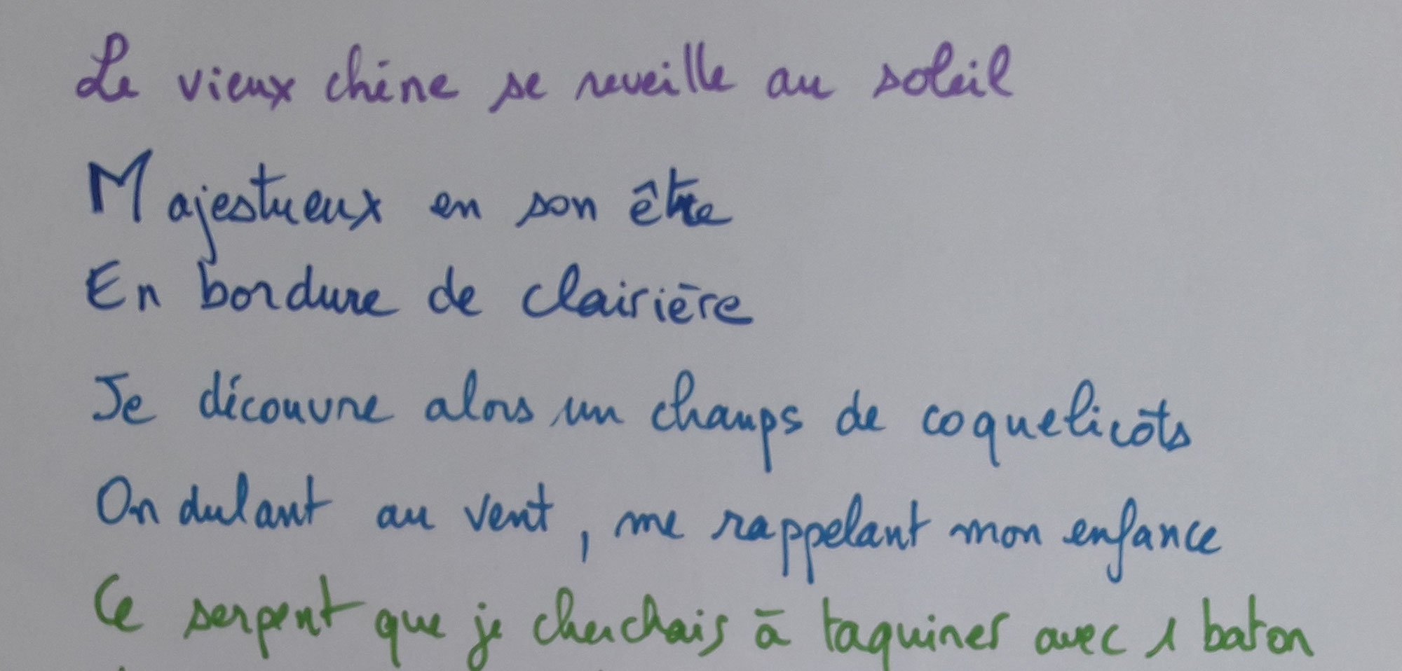 Ode à la forêt : poème à 7 mains