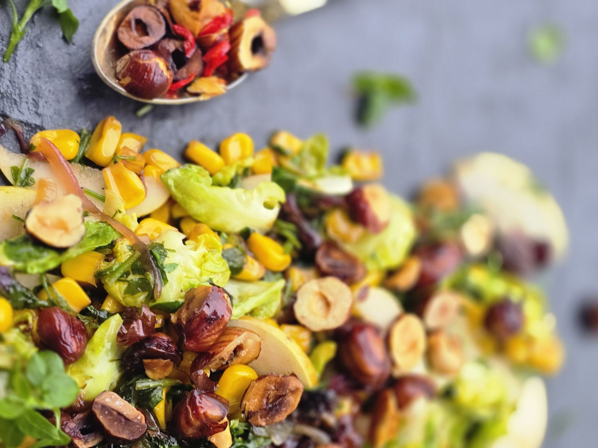 Vogelmiere: Portrait & Rezept für lauwarmen Wintersalat