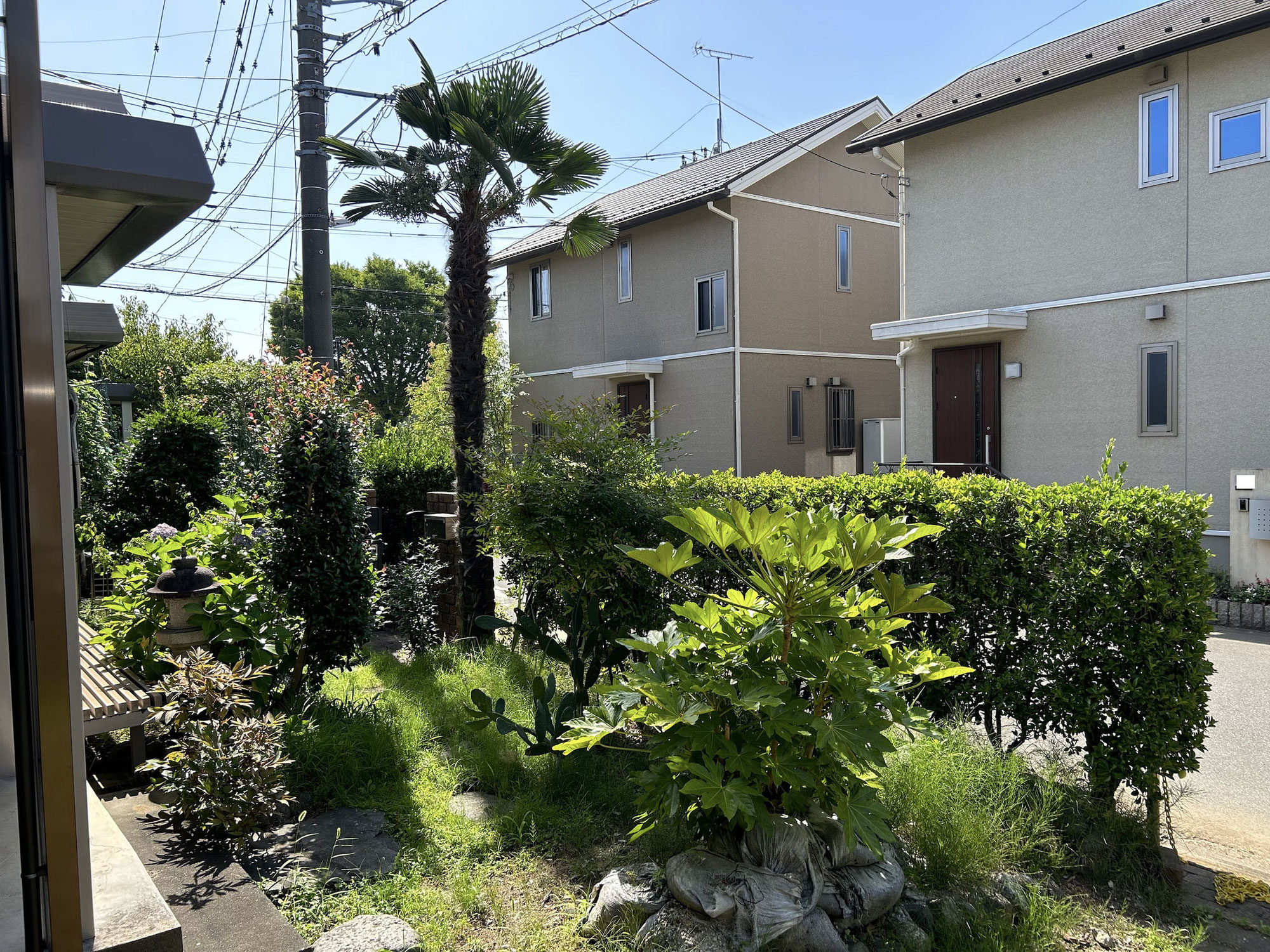 植栽管理個人邸の植木剪定【春日部市】