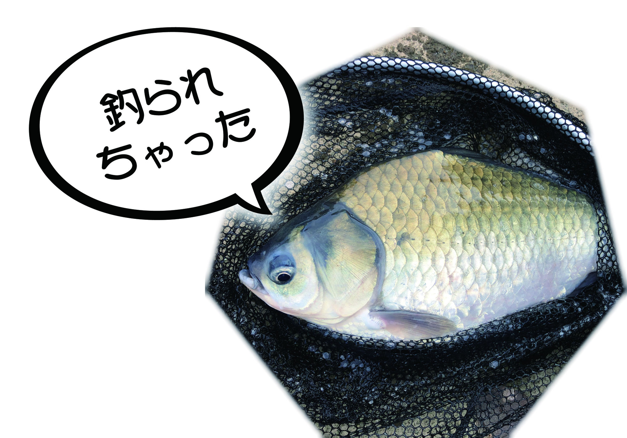 魚釣り　その4