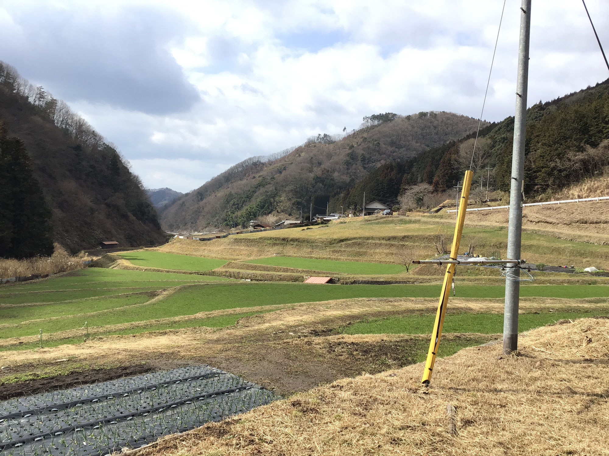 現地確認に行ってきました【現地調査】