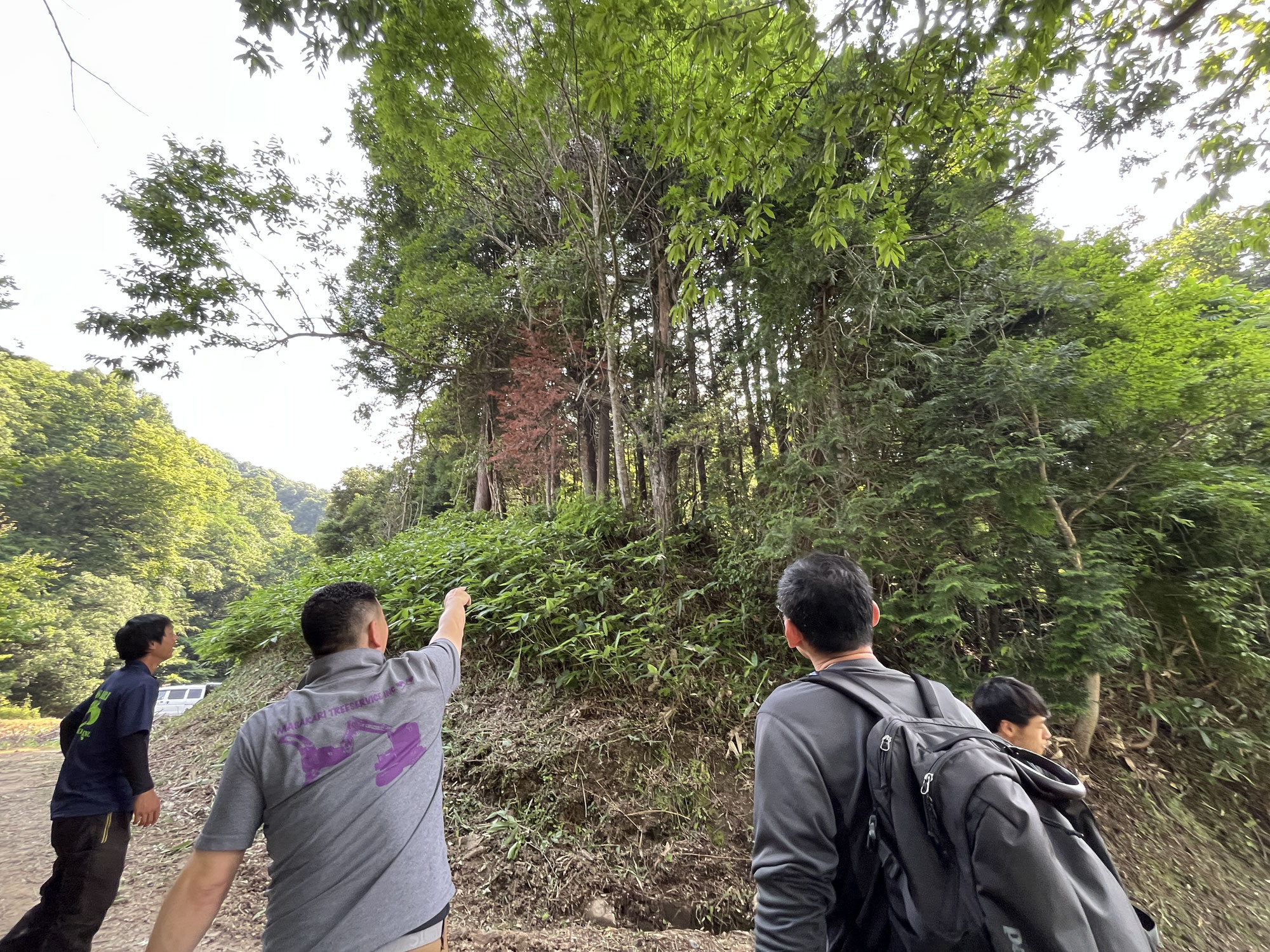 島根県伐採ツアーに行ってきました。