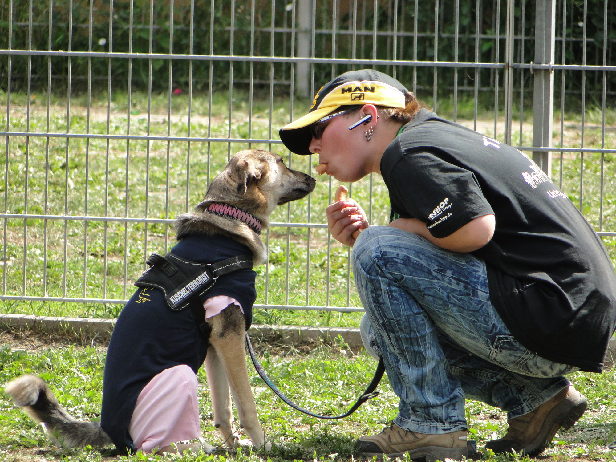 Impressionen tierheimneas Webseite!