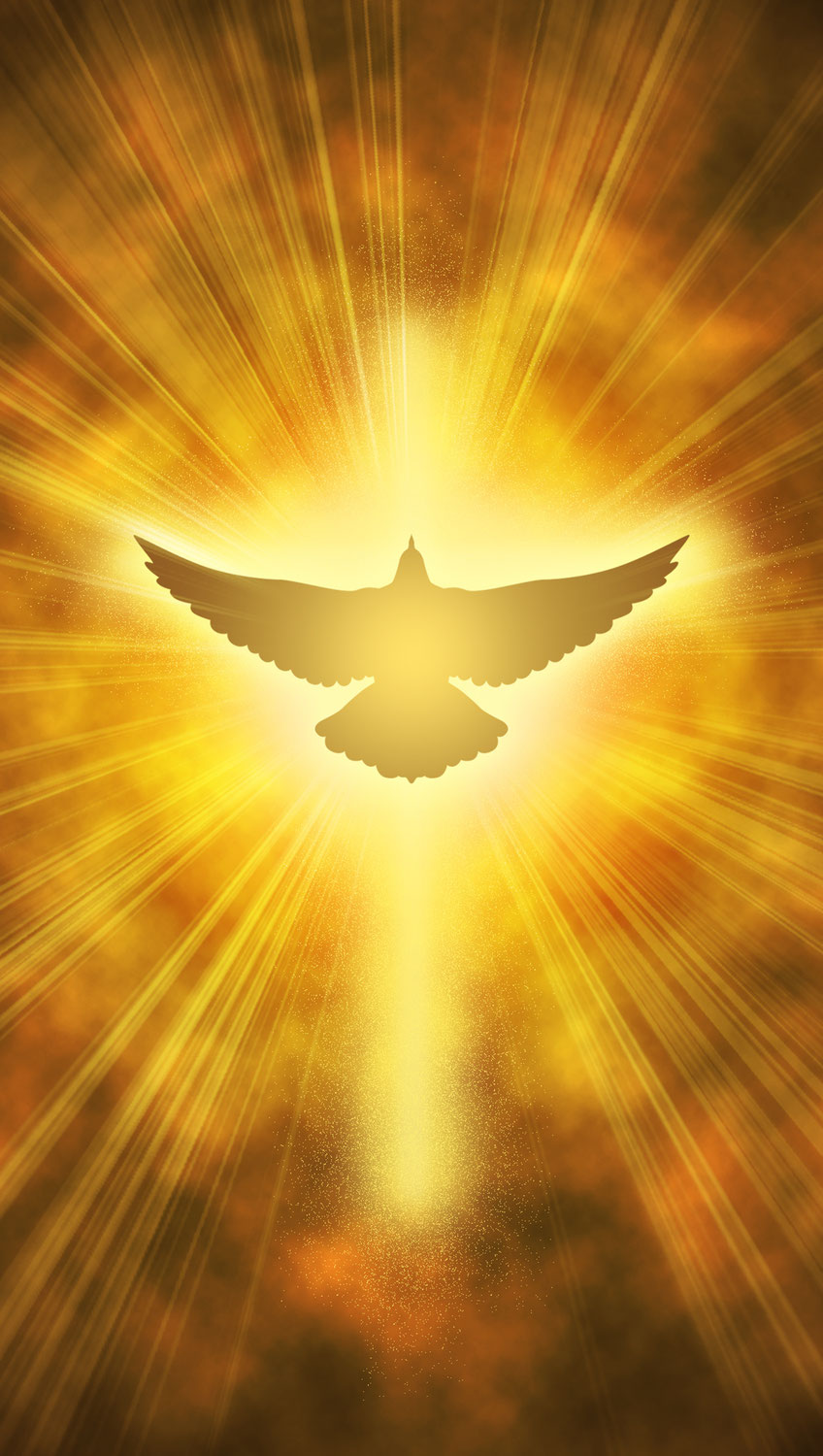 Holy Spirit The Teacher 2.3