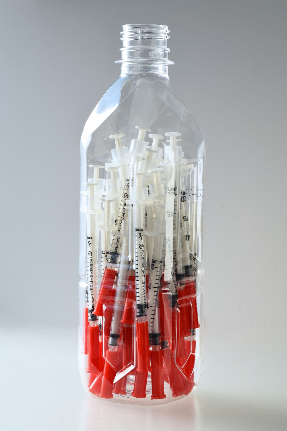 Quand et comment vacciner son lapin?