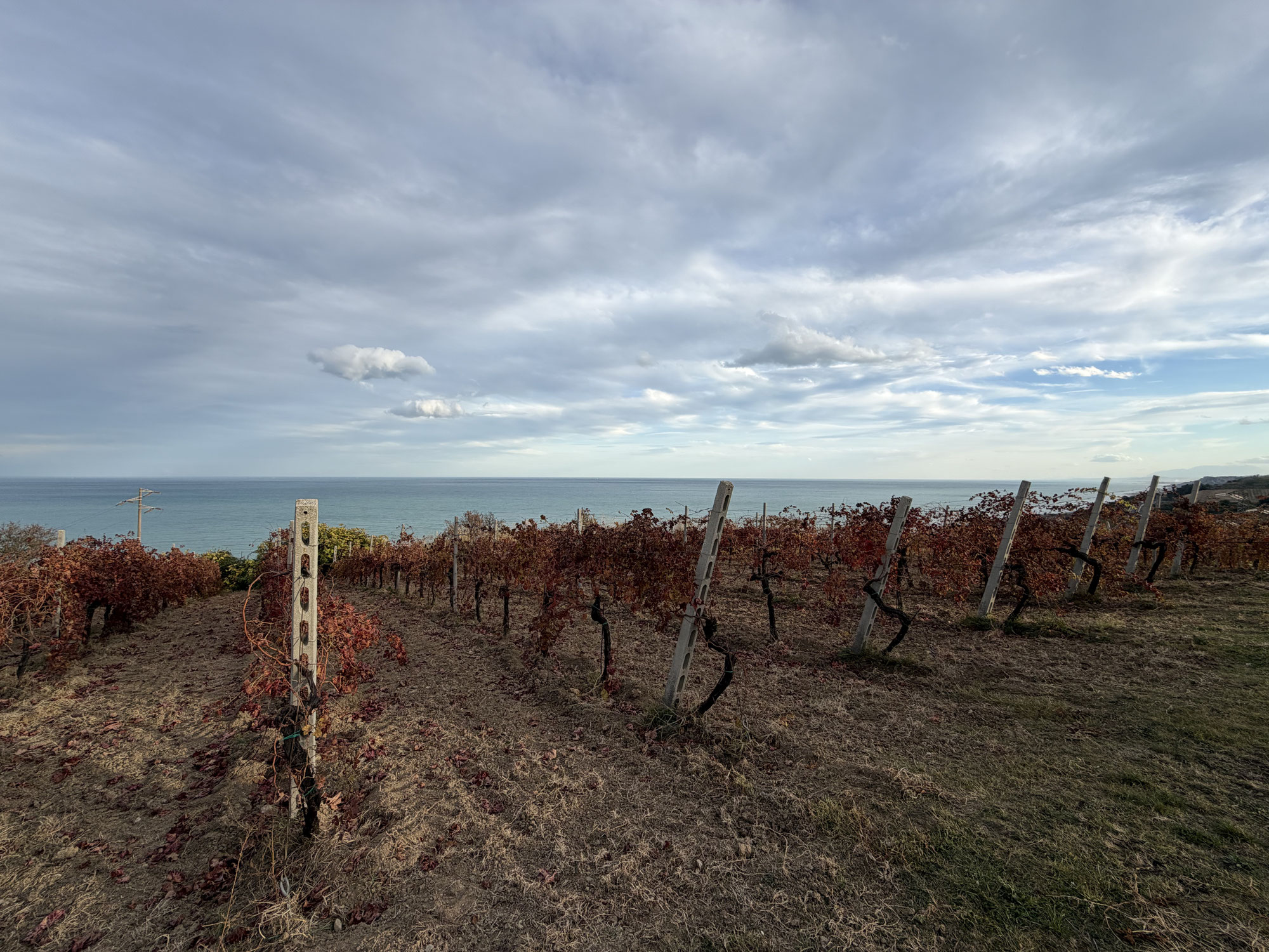 Das unbekannte Italien - die faszinierende Weinregion Marken