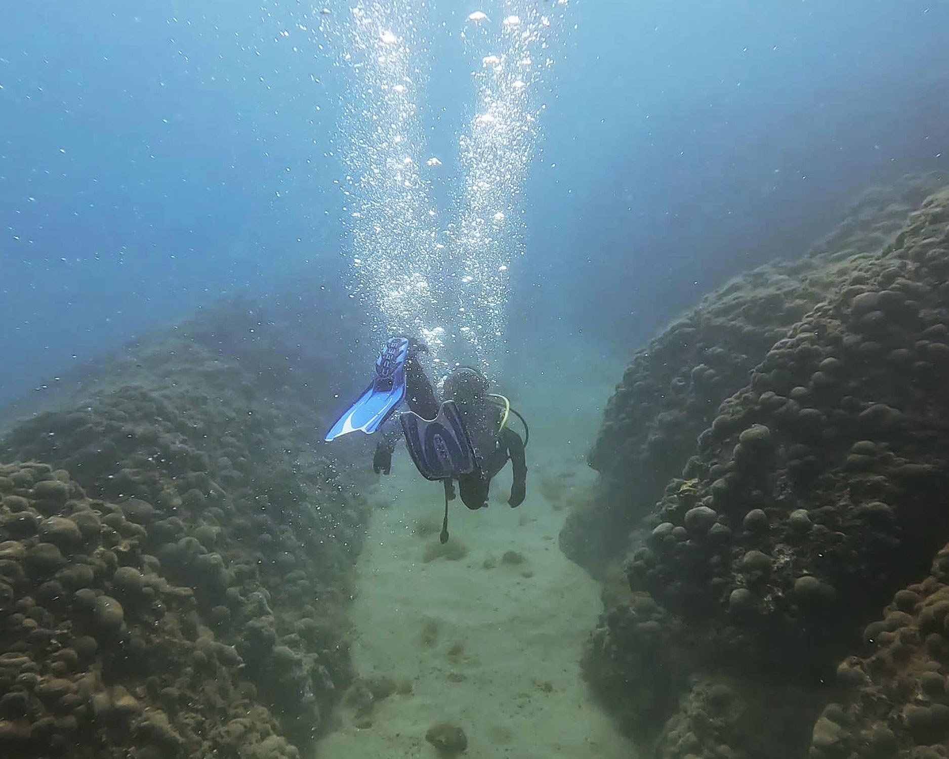 Diving in Mošćenička Draga