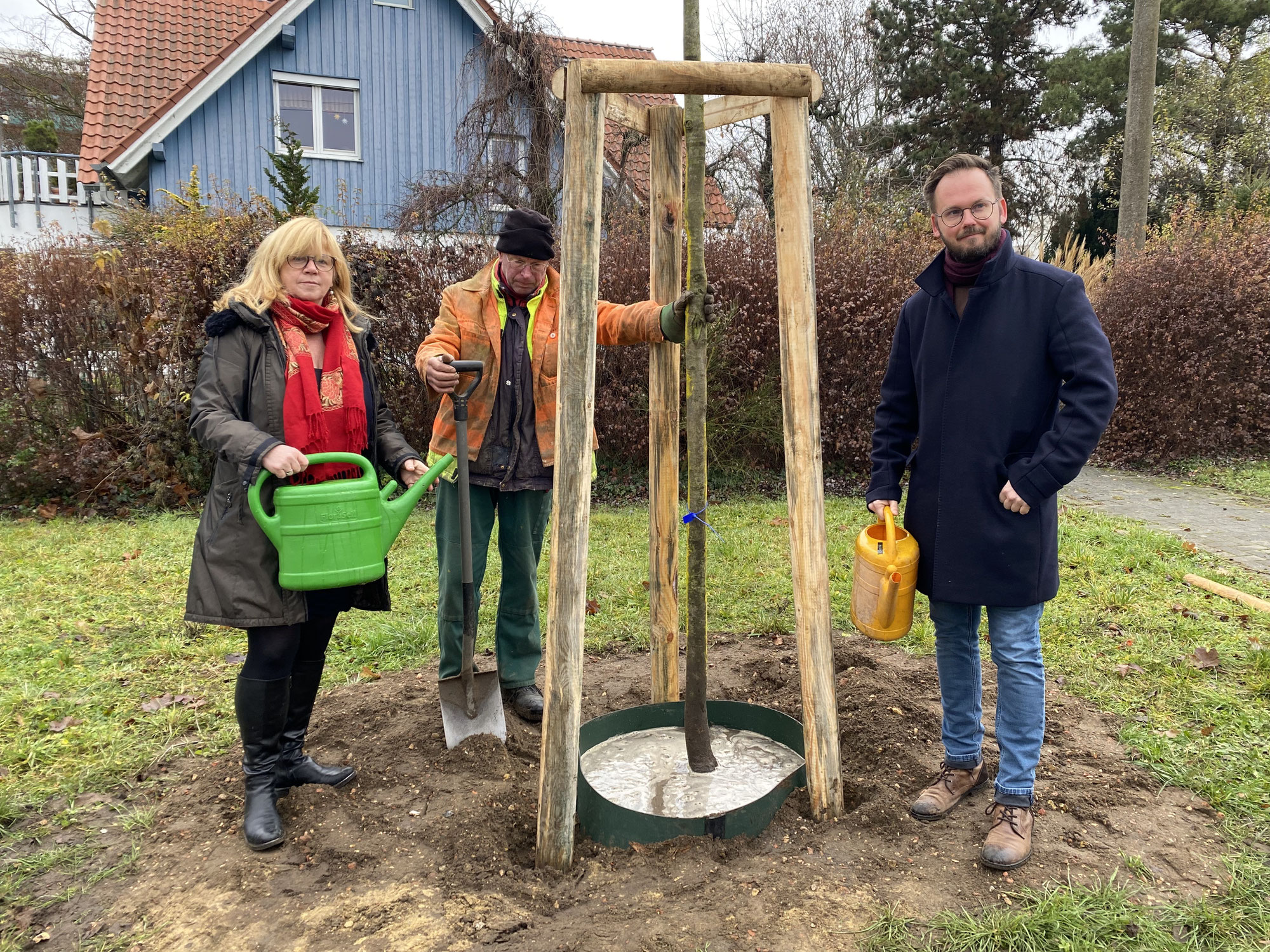 76 neue Stadtbäume für den Bezirk