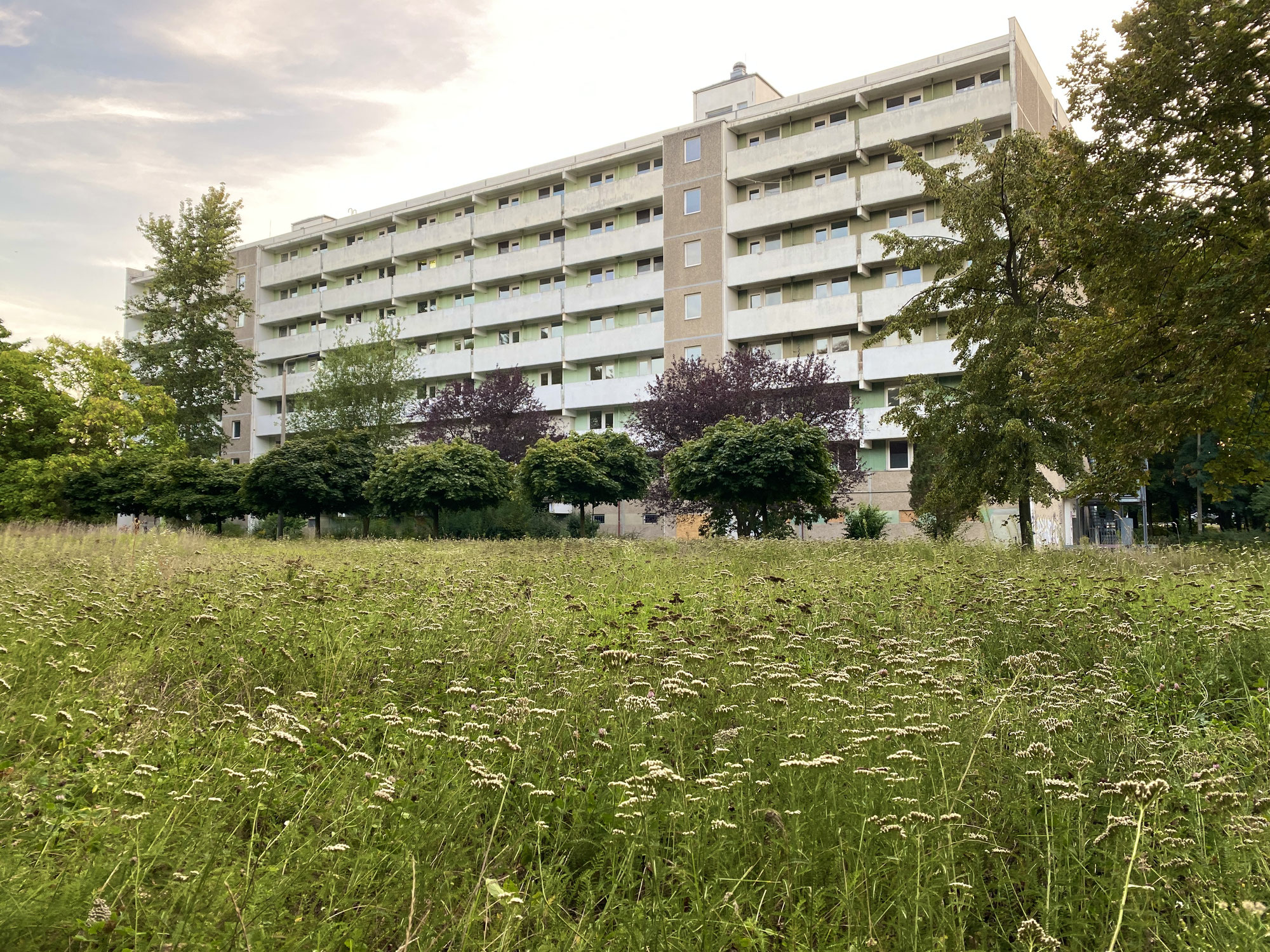 Studi-Wohnheim oder Geflüchtetenunterkunft: Was wird aus dem alten Psychiatrie-Plattenbau am Brebacher Weg?