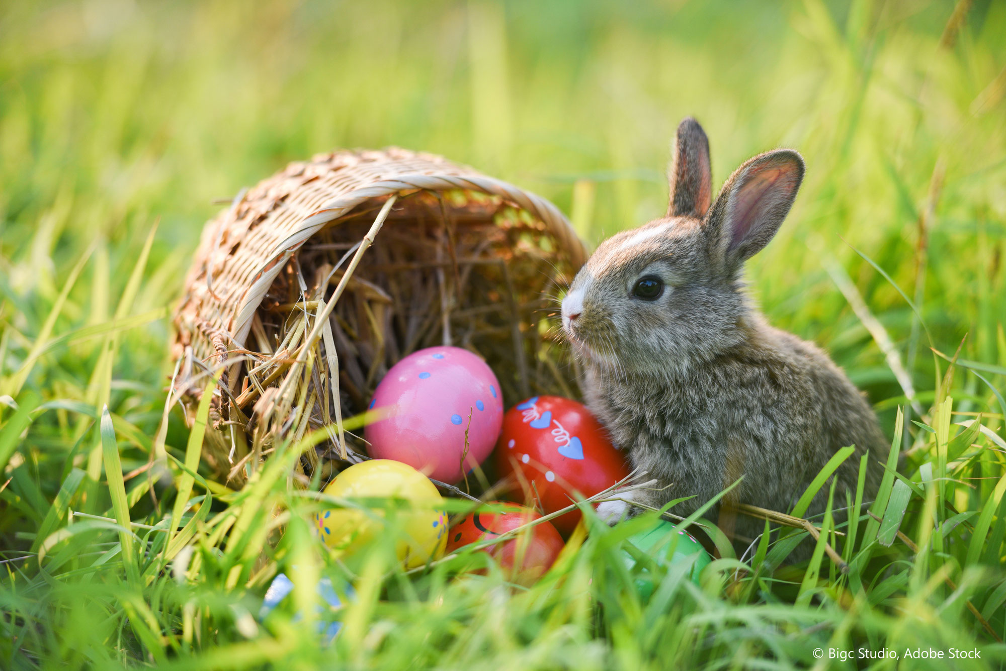 Knistern, Eier suchen, feiern: Was am Osterwochenende im Bezirk ansteht
