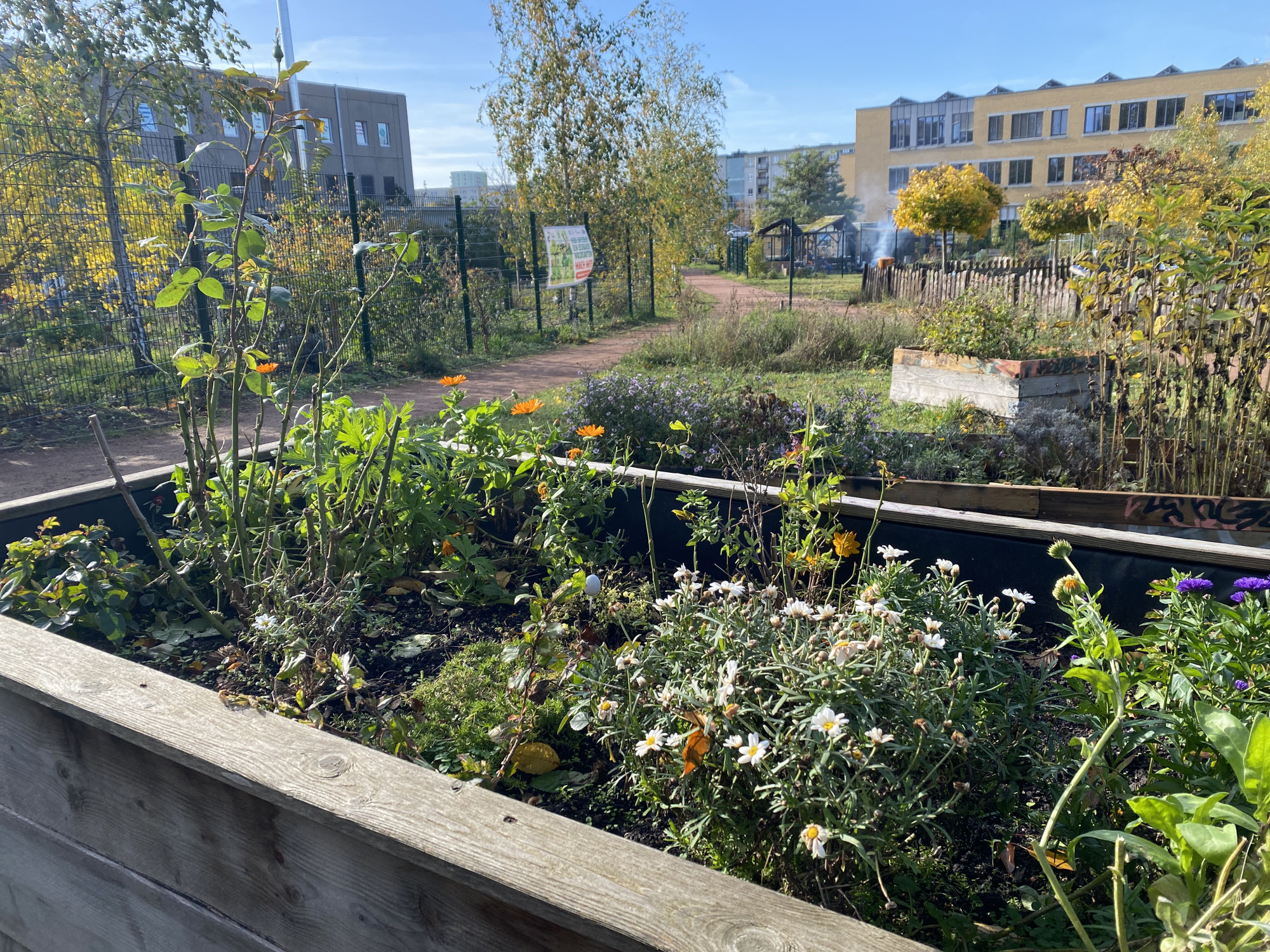 Hellersdorf bekommt einen Tiny Forest