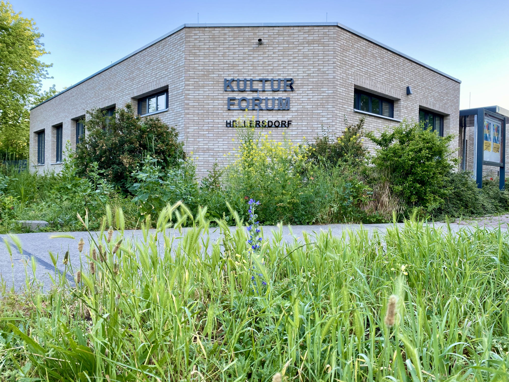 Wie soll das Kulturforum Hellersdorf abends und am Wochenende bespielt werden?