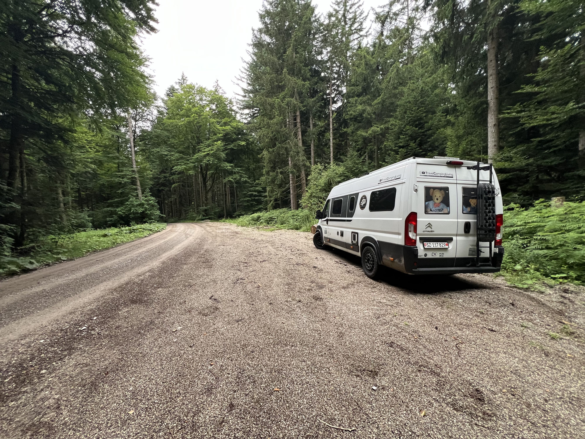 #1228 Abschied von Hannes und Nils und umherirren im Wald