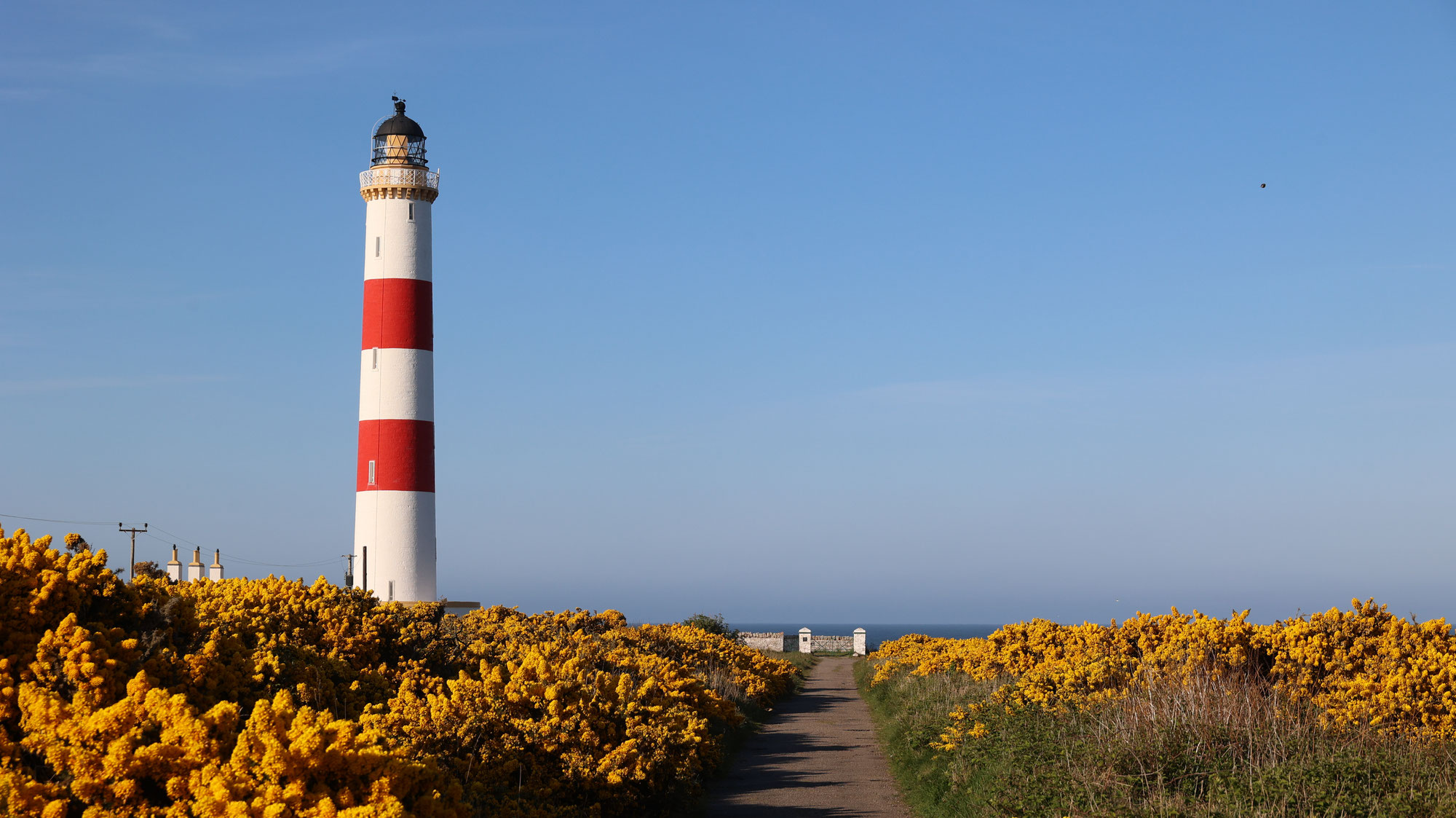 #1192 Schottland - Vom See zum Ginsterturm