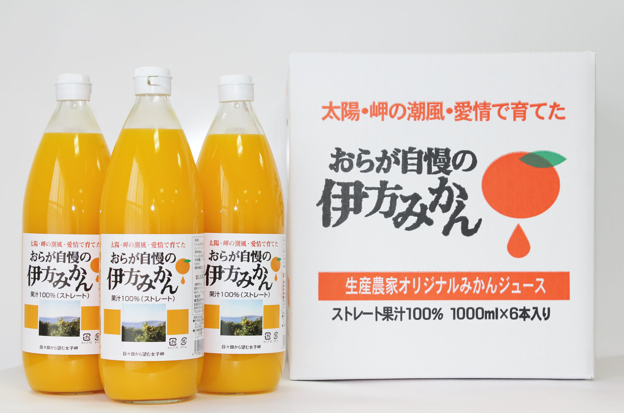 今年産❝みかんジュース❞ができました