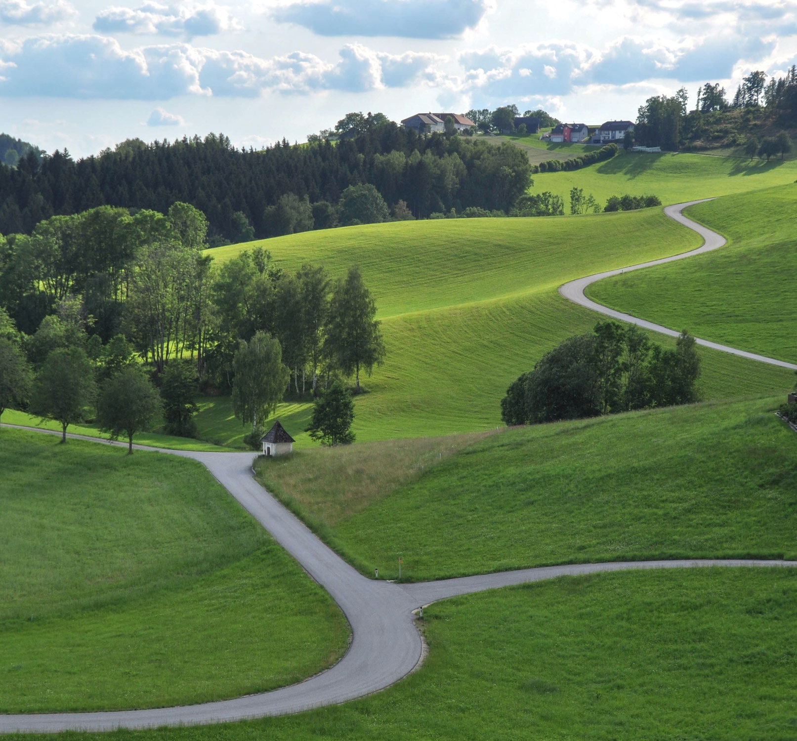 Vielseitiger Vorarbeiter/Landschaftsgärtner (m/w)