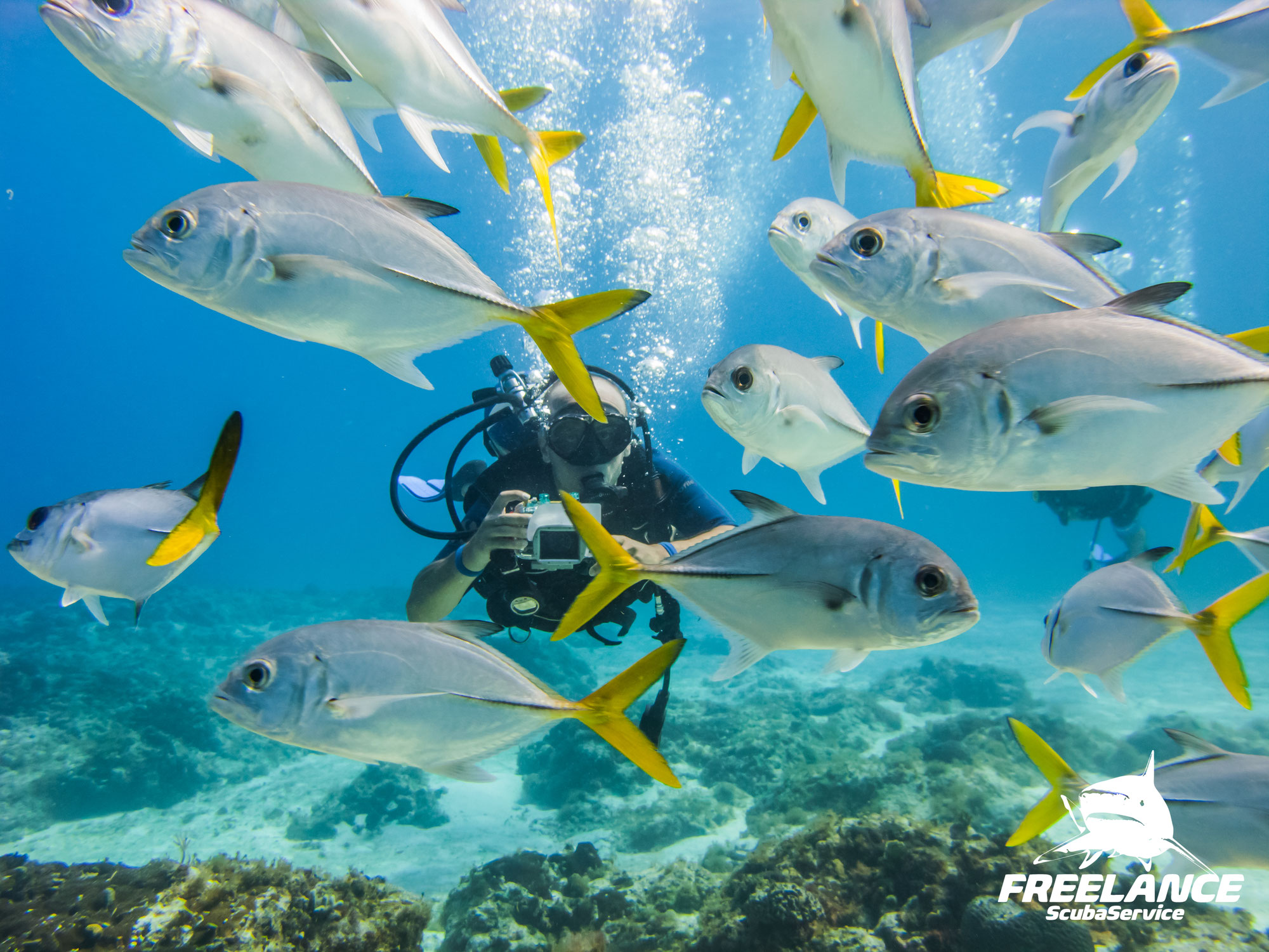 "Capturing the Depths: Underwater Photography Tips for Scuba Divers in Playa del Carmen"