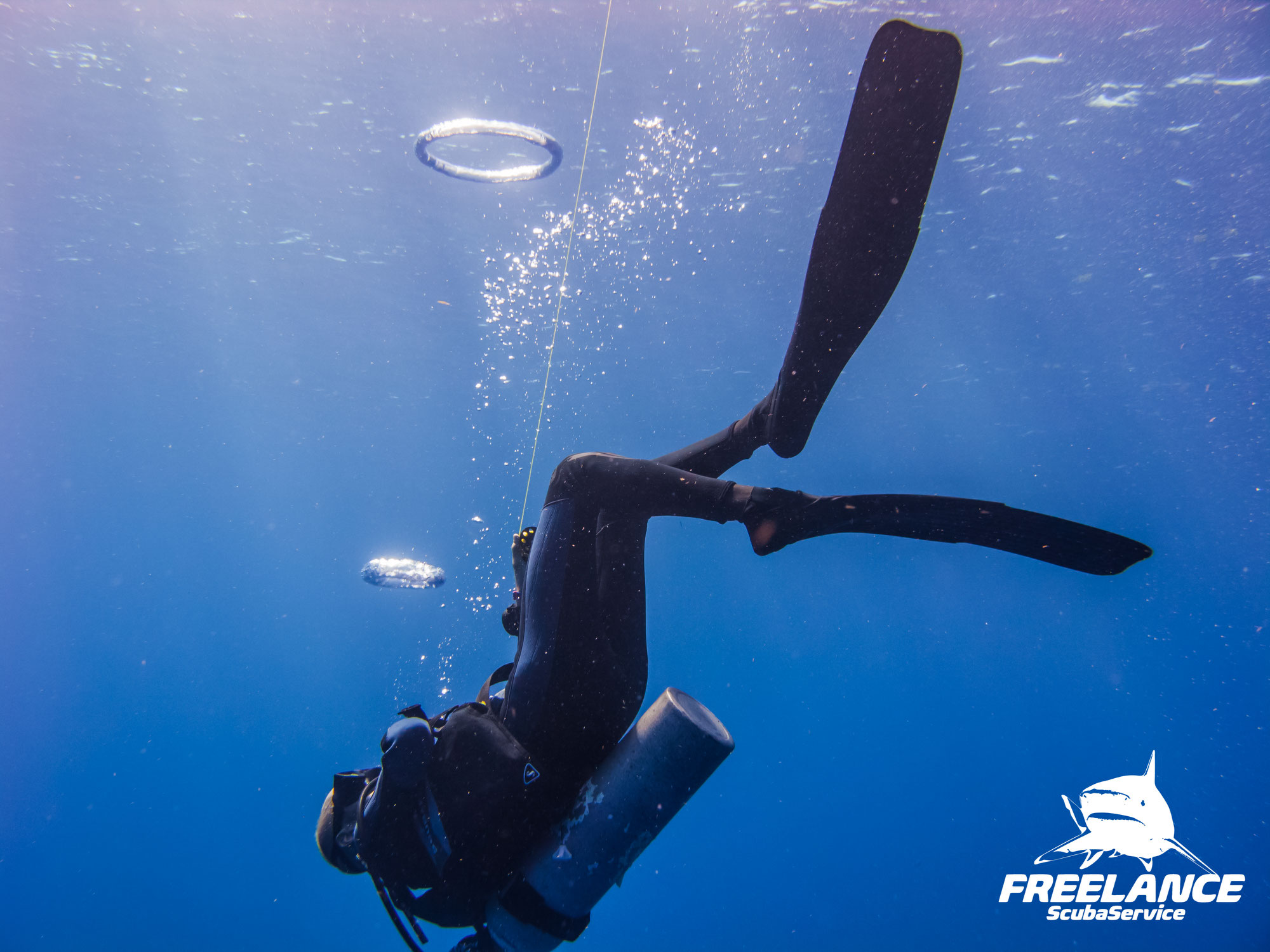 The Advantages of a Private Scuba Diving Guide