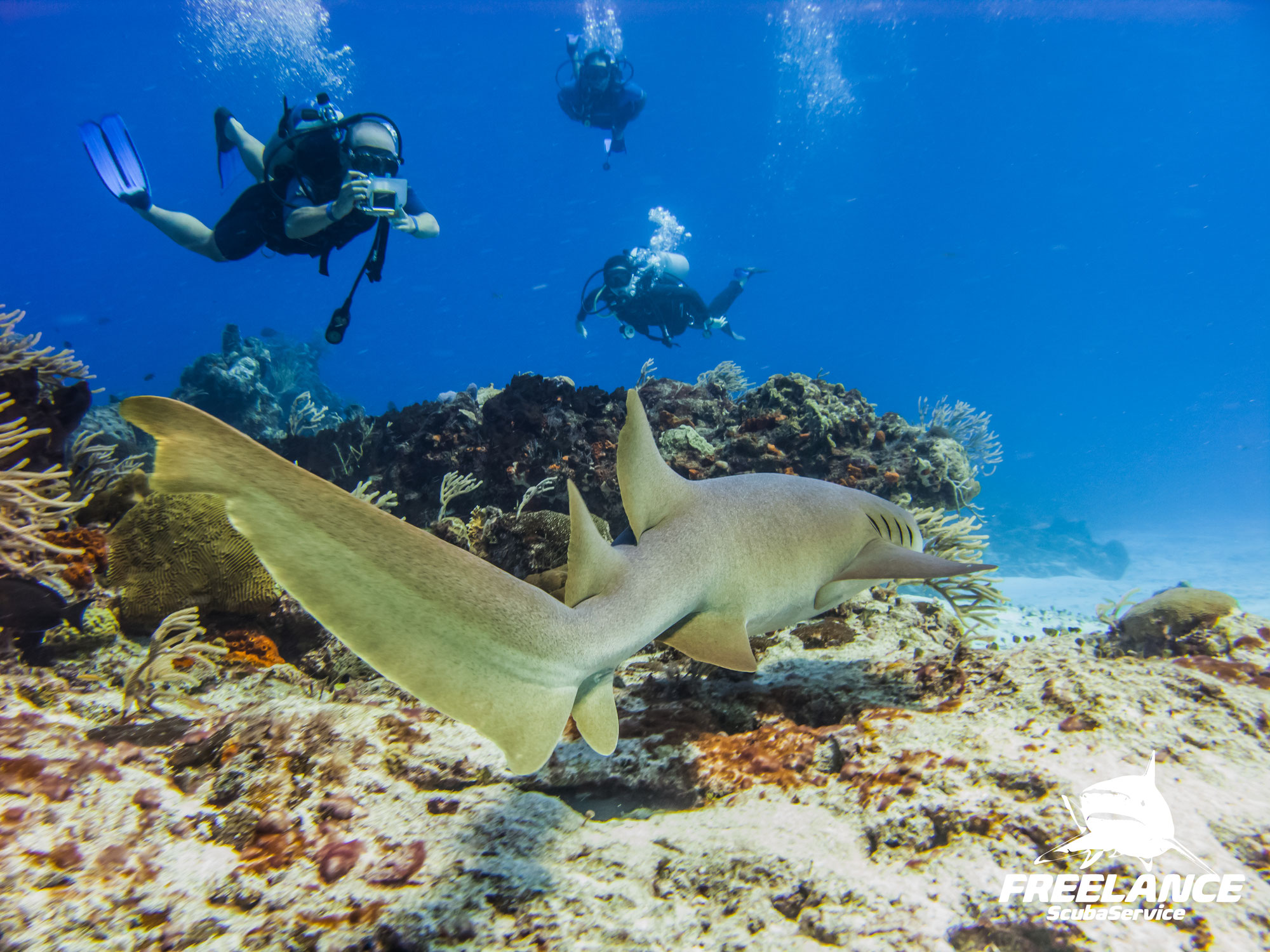The Thrill of Drift Diving: Experience the Currents in Cozumel