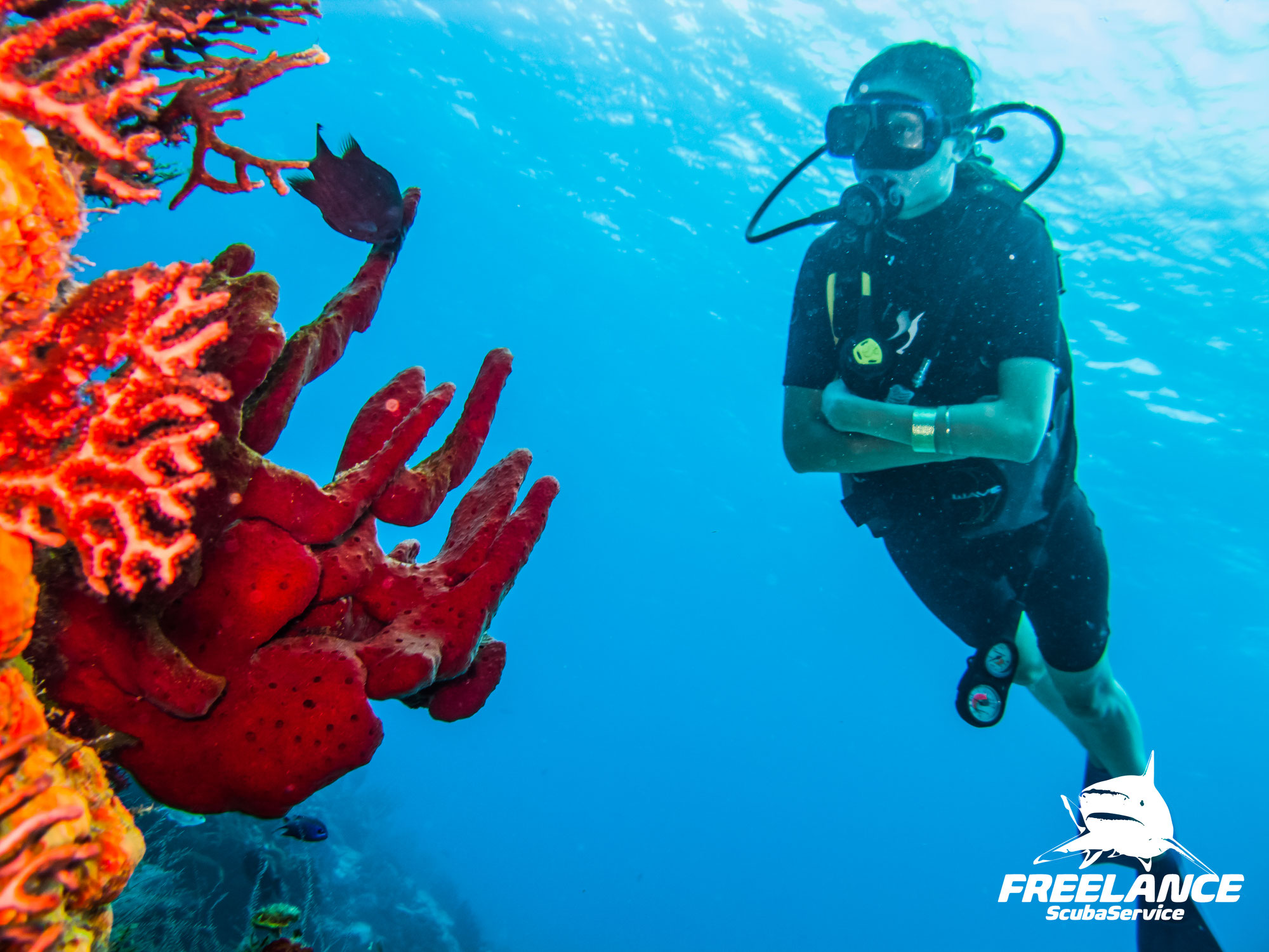 Dive into Tranquility: The Art of Mindful Scuba Diving with Freelance Scuba Service