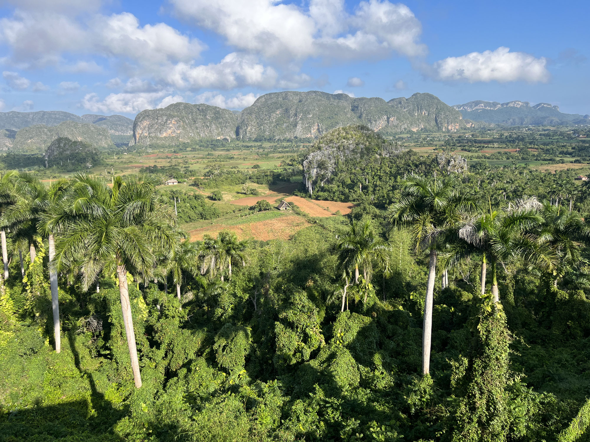 Kuba 2023: Zwischen Oldtimern, Salsa & Dschungel-Abenteuer – Euer ultimativer Reiseführer von NiCe Dive & Trips!