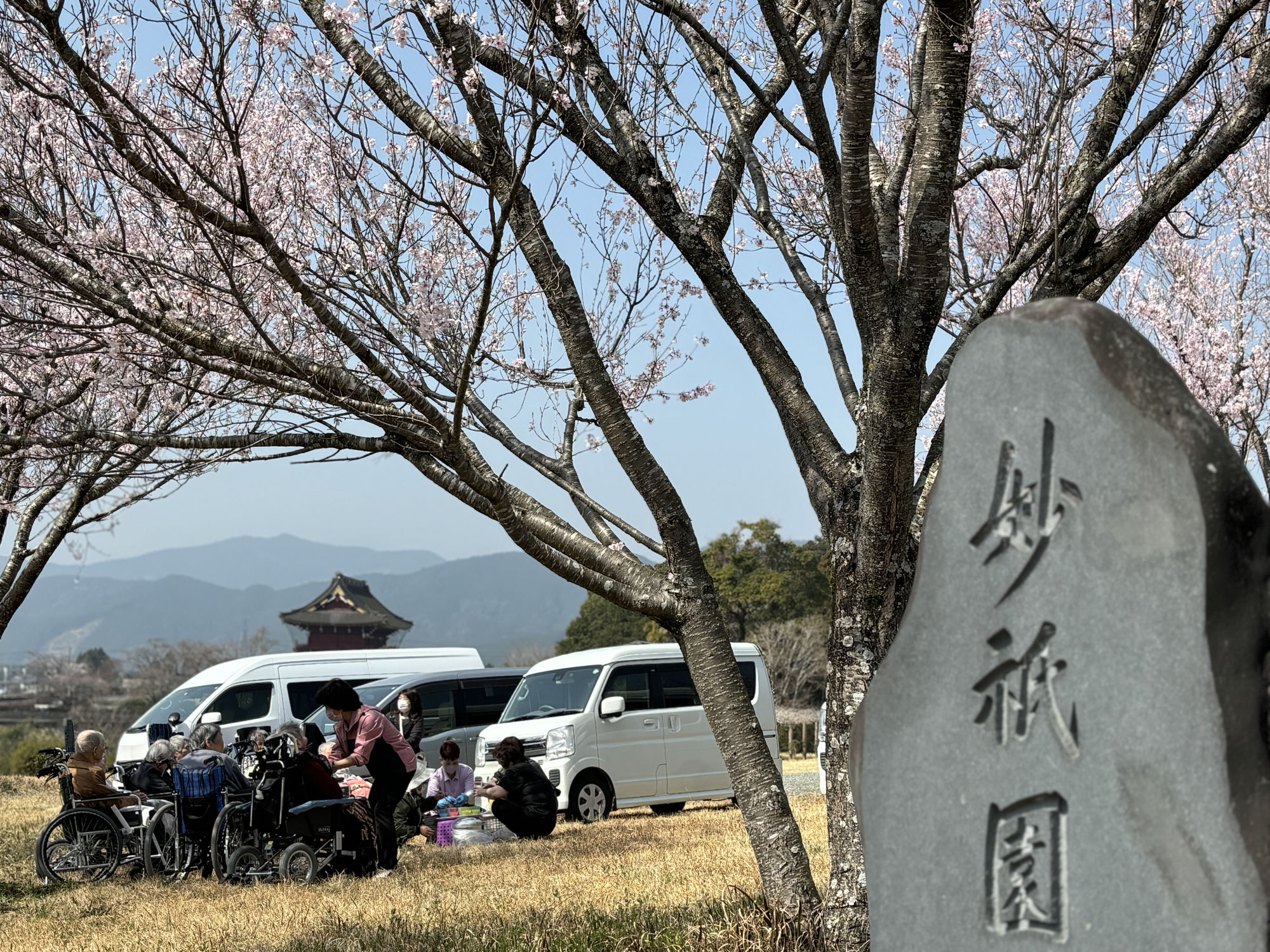 かりんの家～桜の花見～