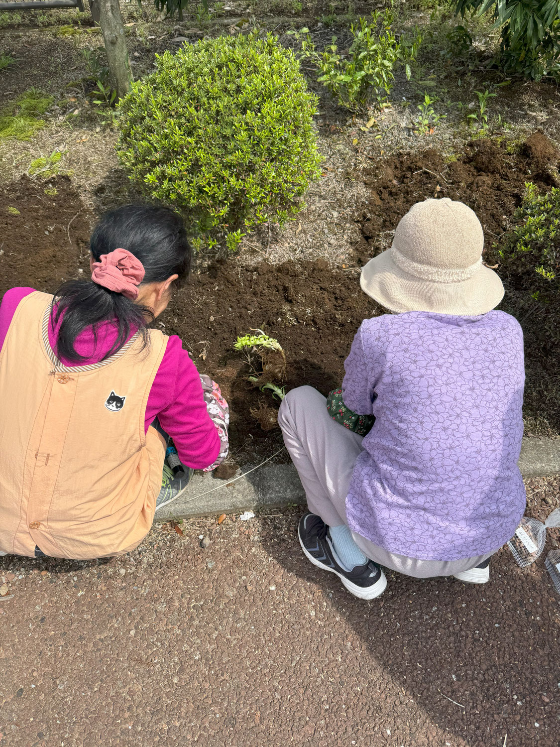 春の種まき～かたくりの里～