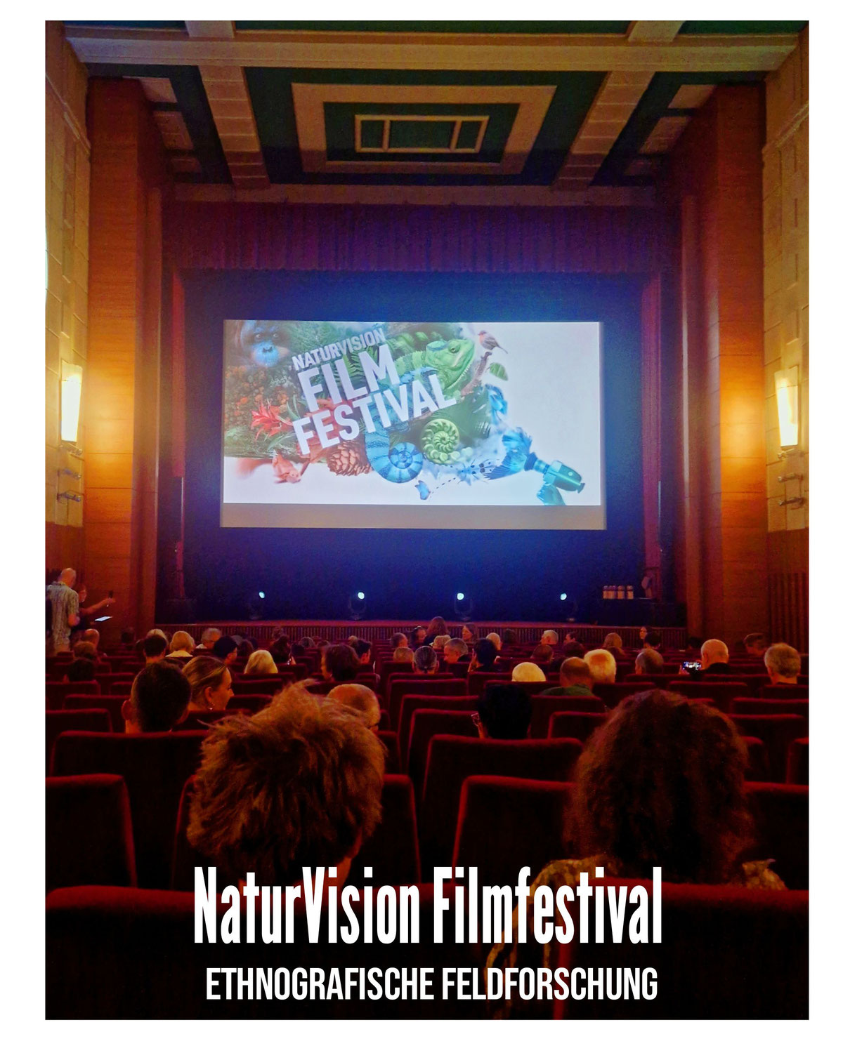 FELDFORSCHUNG: Wie steht es um die Naturfilmbranche? – Ein Ausflug zum NaturVisionfestival
